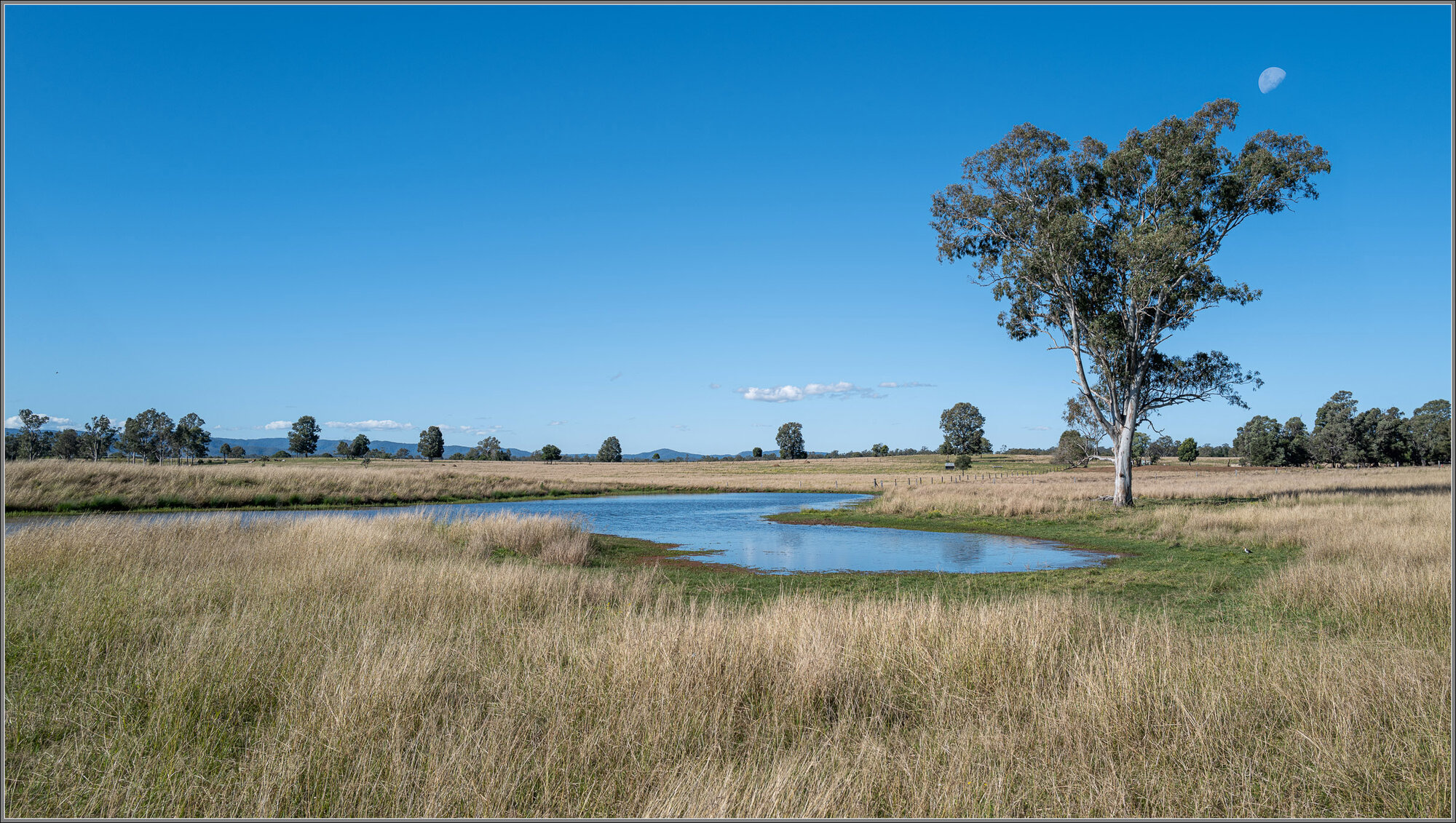 Farmland NW of Ipswich, Queensland