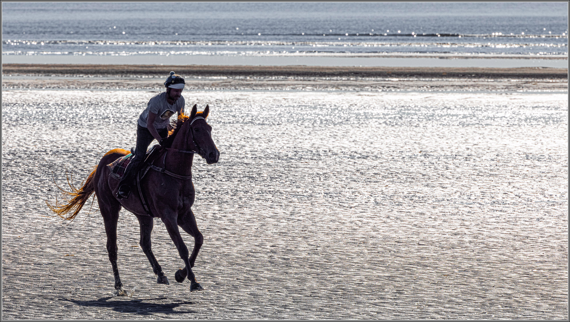 Cantering along Brighton Beach