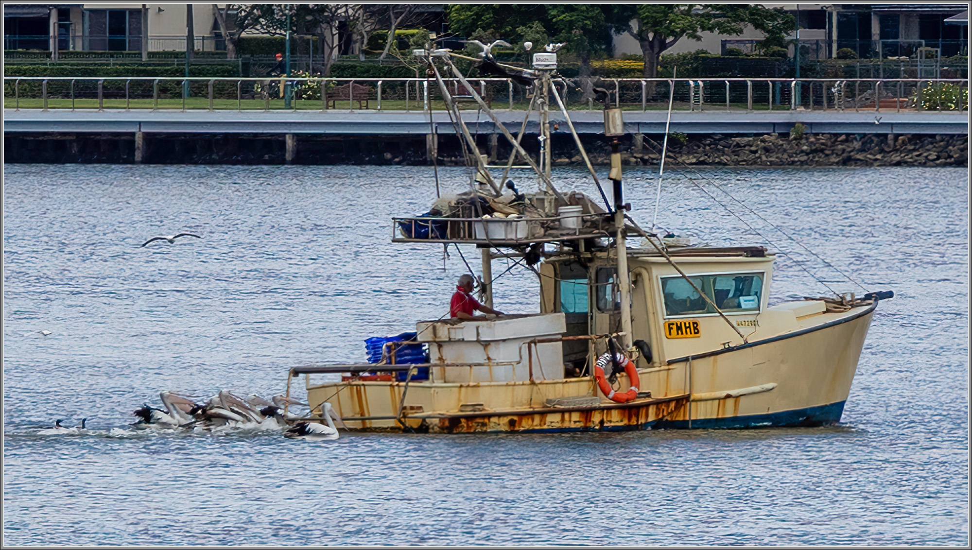 Brisbane River, Newstead