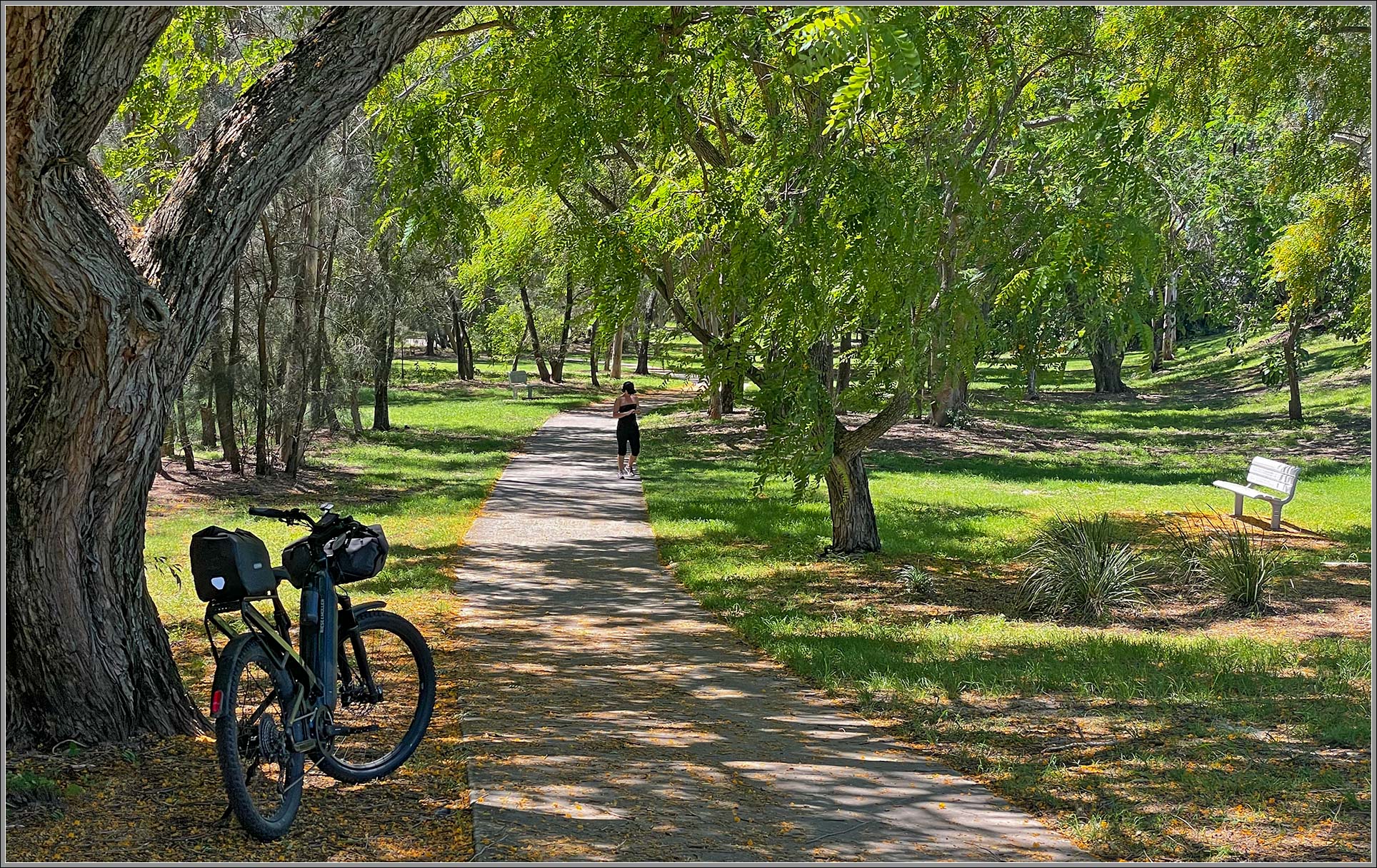 Moreton Bay Cycleway : Rothwell, Redcliffe Peninsula