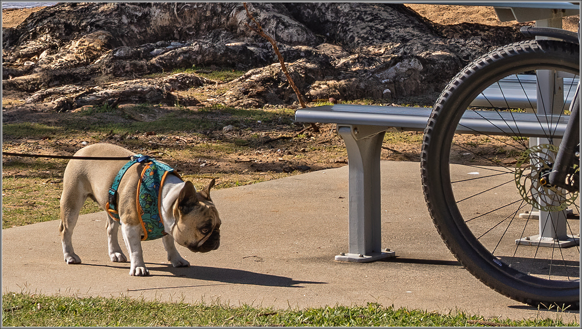 Scarborough Beach, Redcliffe Peninsula