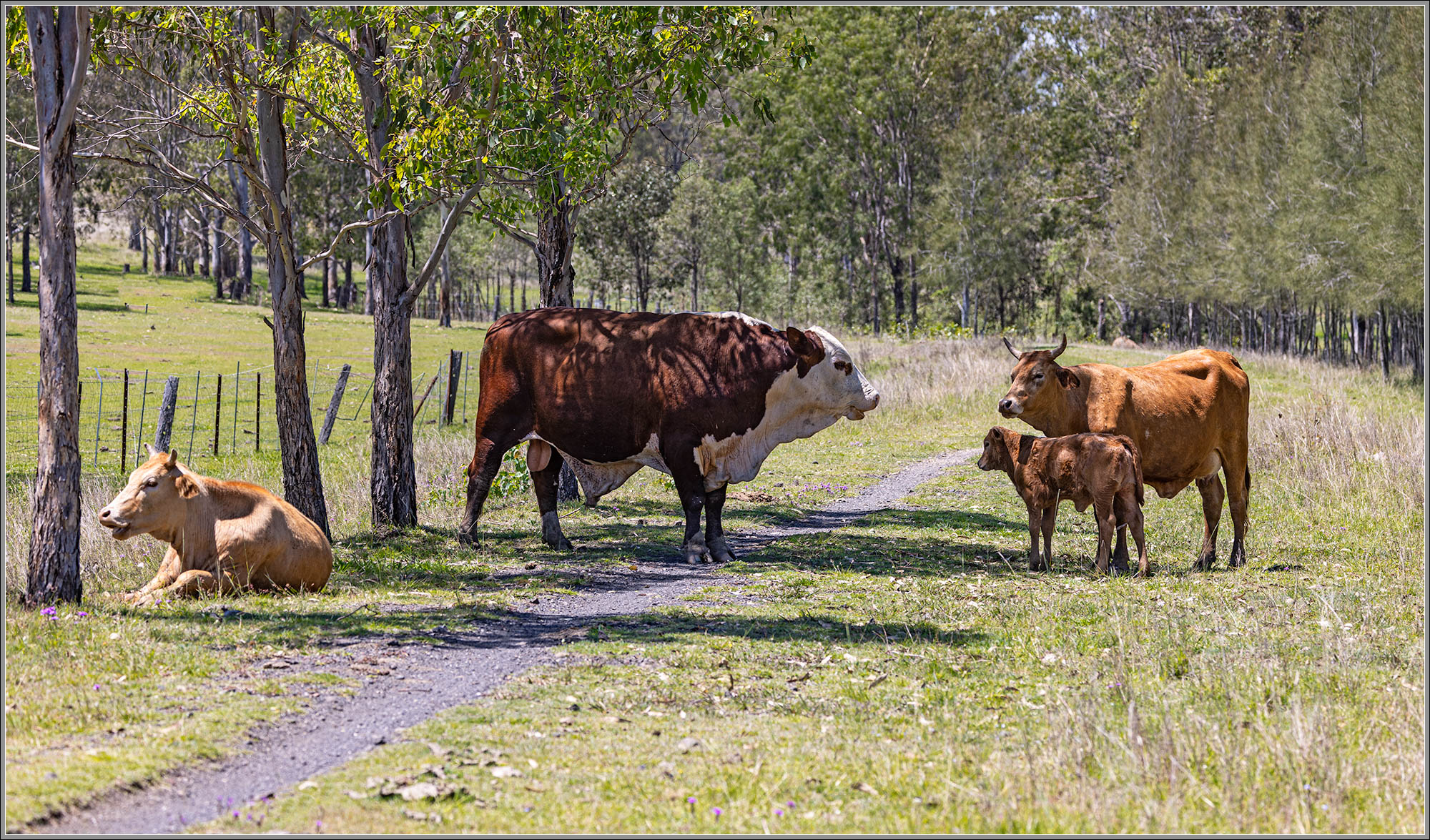 BVRT, Fairney View, Queensland
