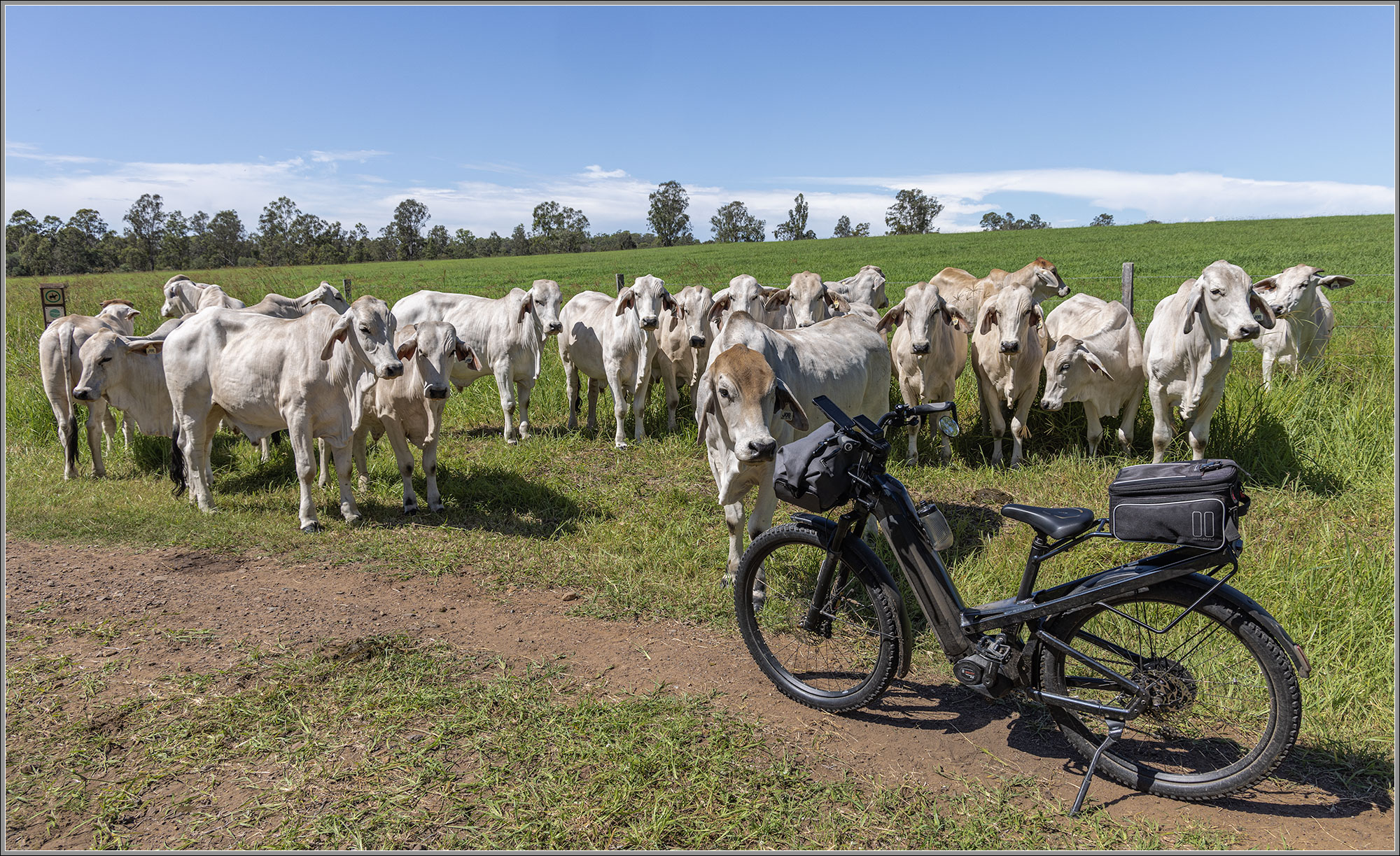 Brisbane Valley Rail Trail, Leschke Farm, Wanora