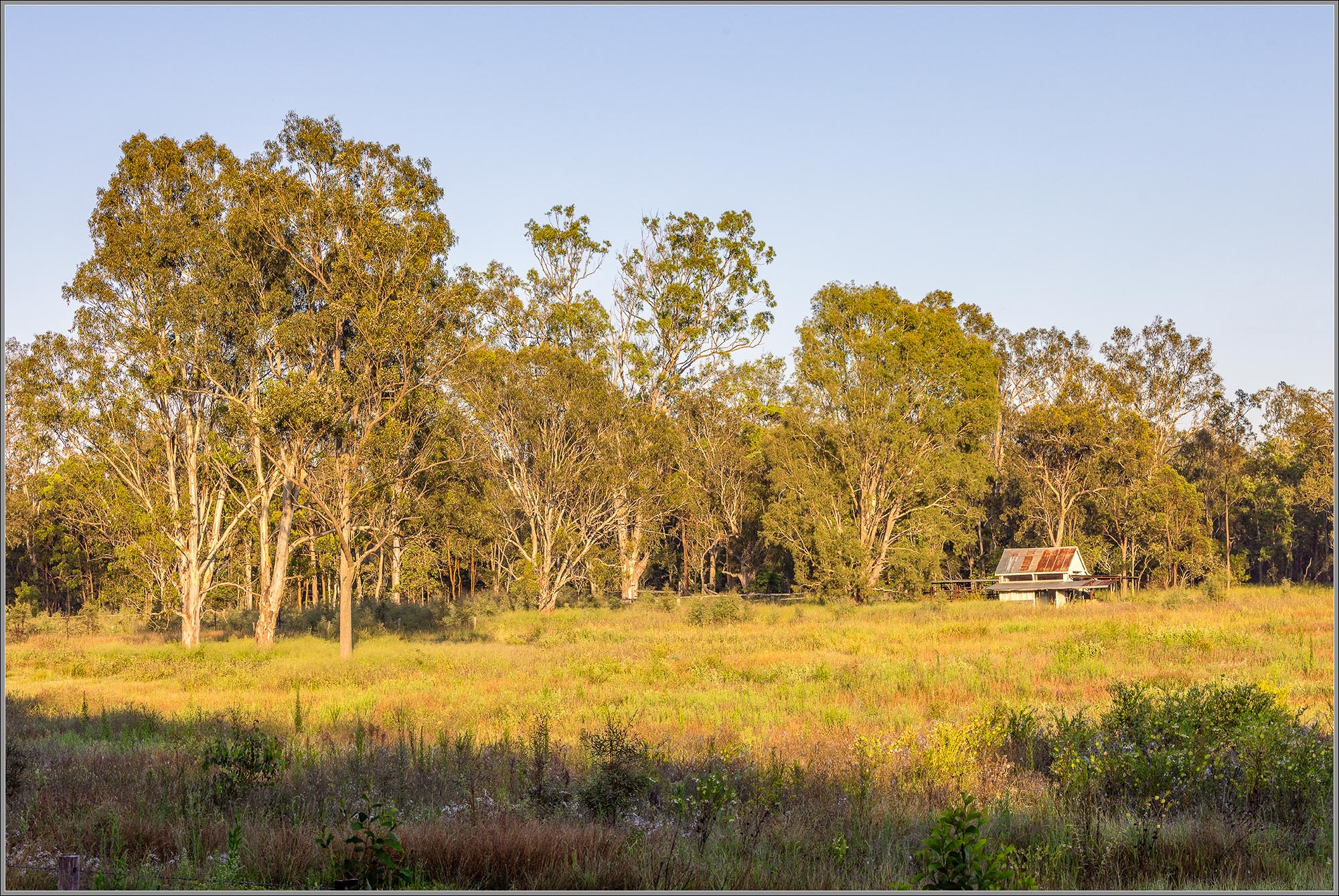 Fernvale, Queensland