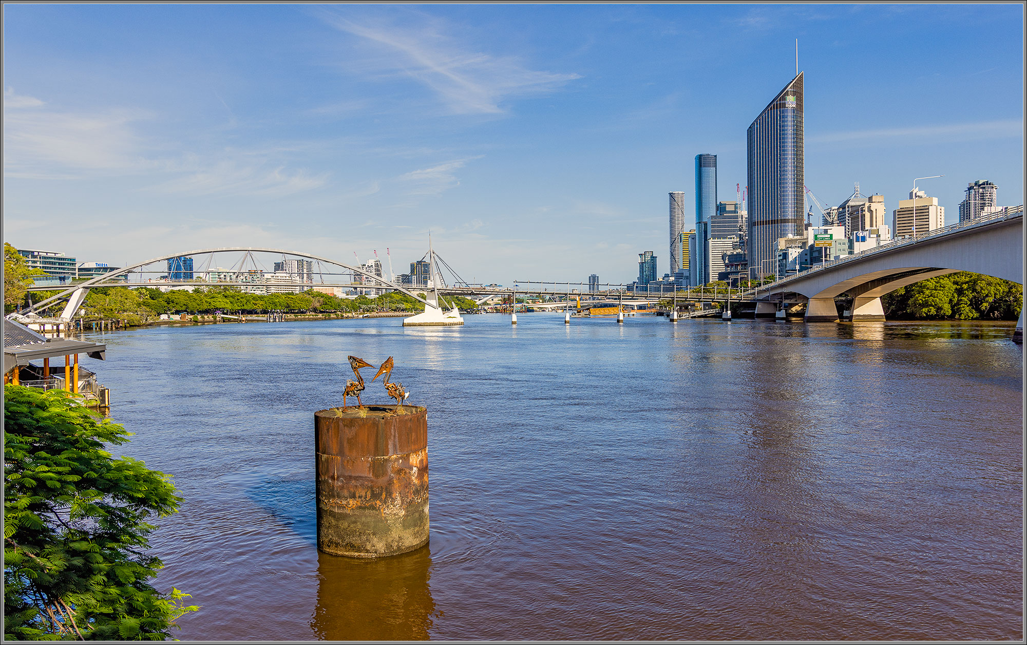 Christopher Trotter : Bio-mechanical Pelicans, South Bank, Brisbane River