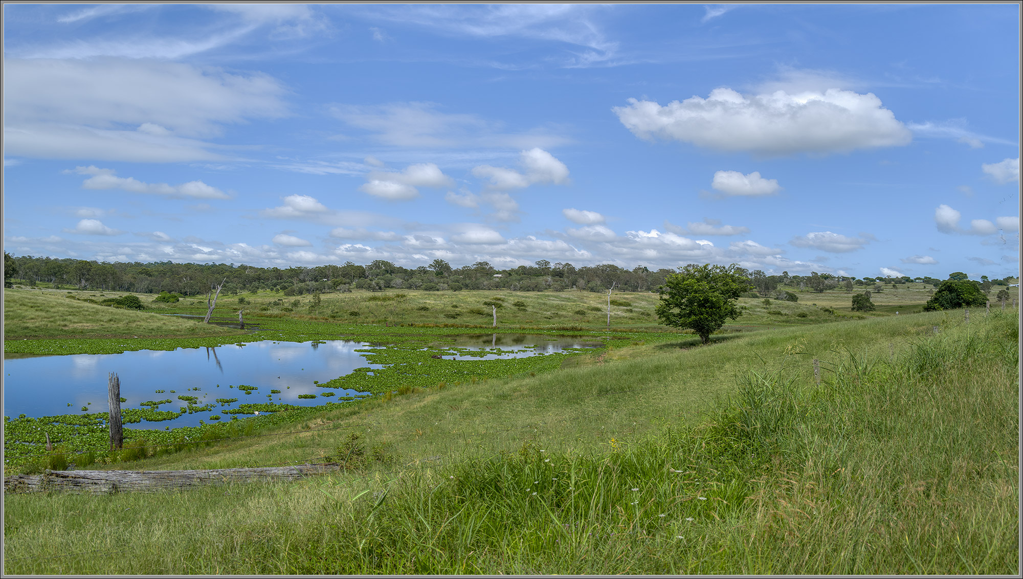 Cattle Country : Wanora, Brisbane Hinterland