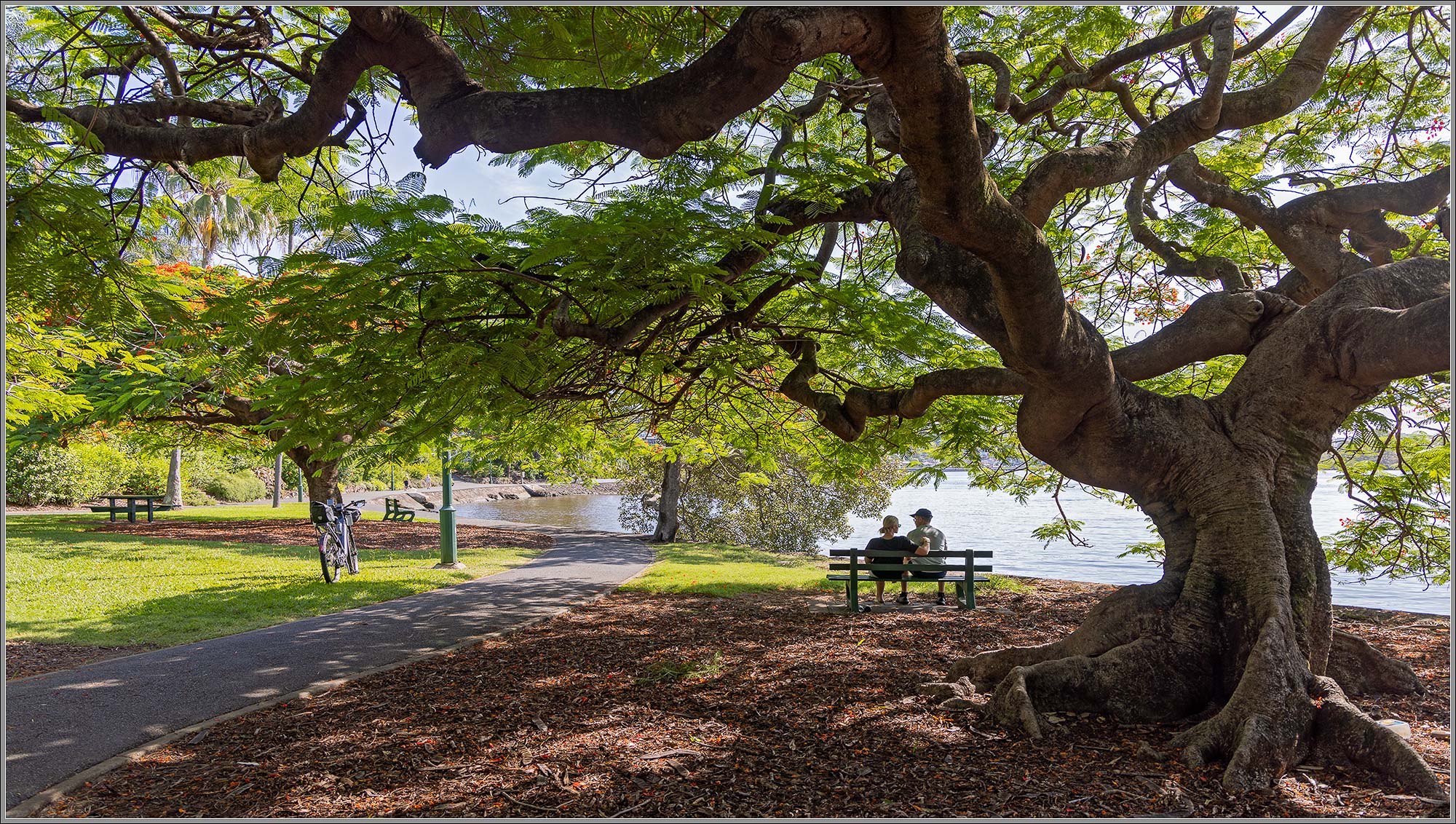 Beside the Brisbane River