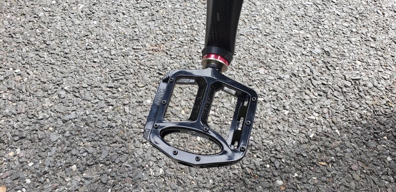 20211006_121630 (Medium).jpg