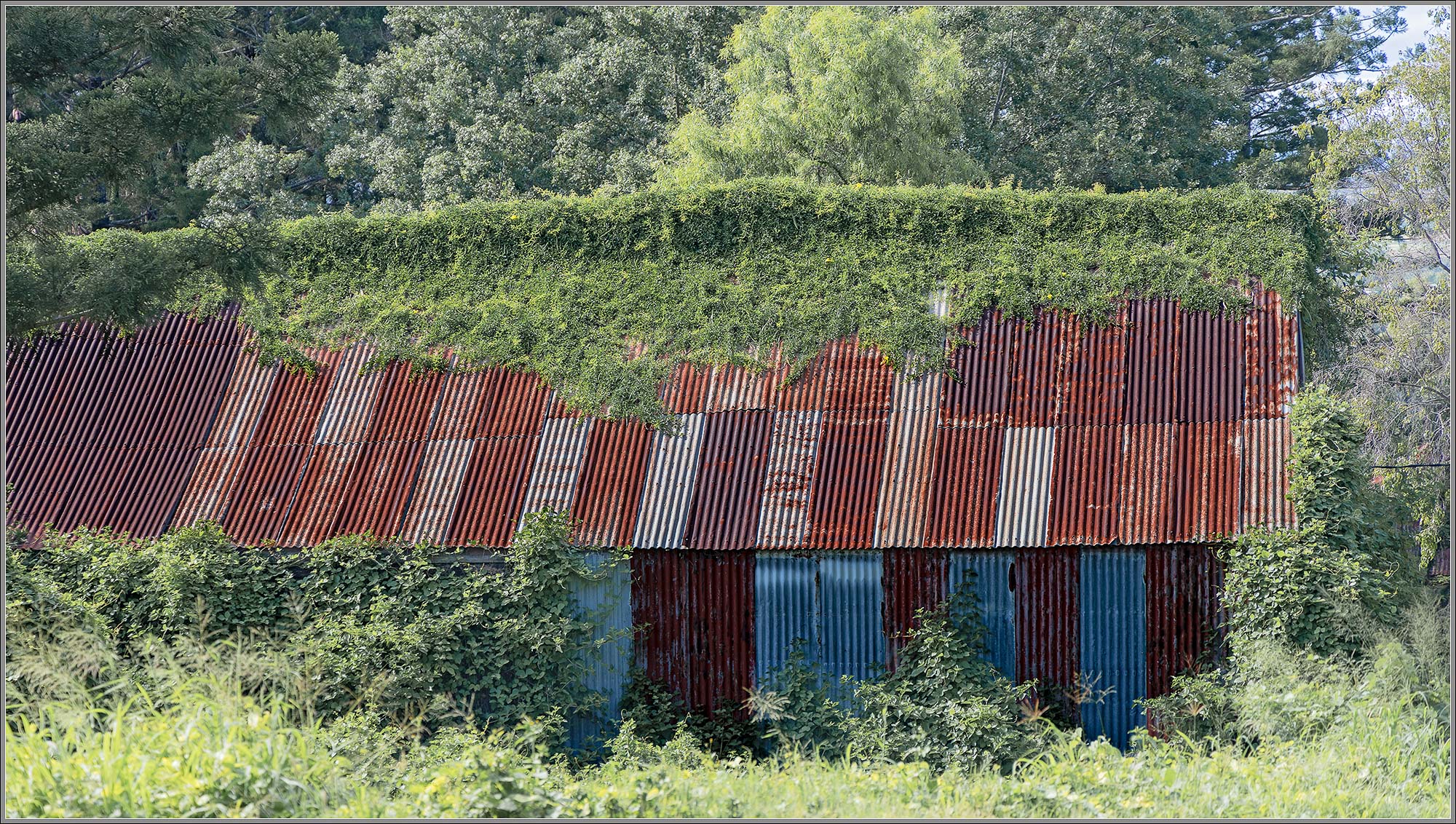 Evans Hill, near Rosewood, SE Queensland