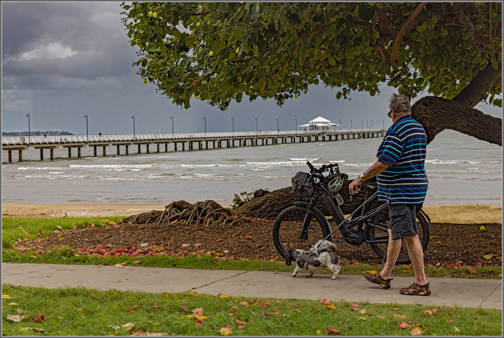 Shorncliffe Pier, Brisbane