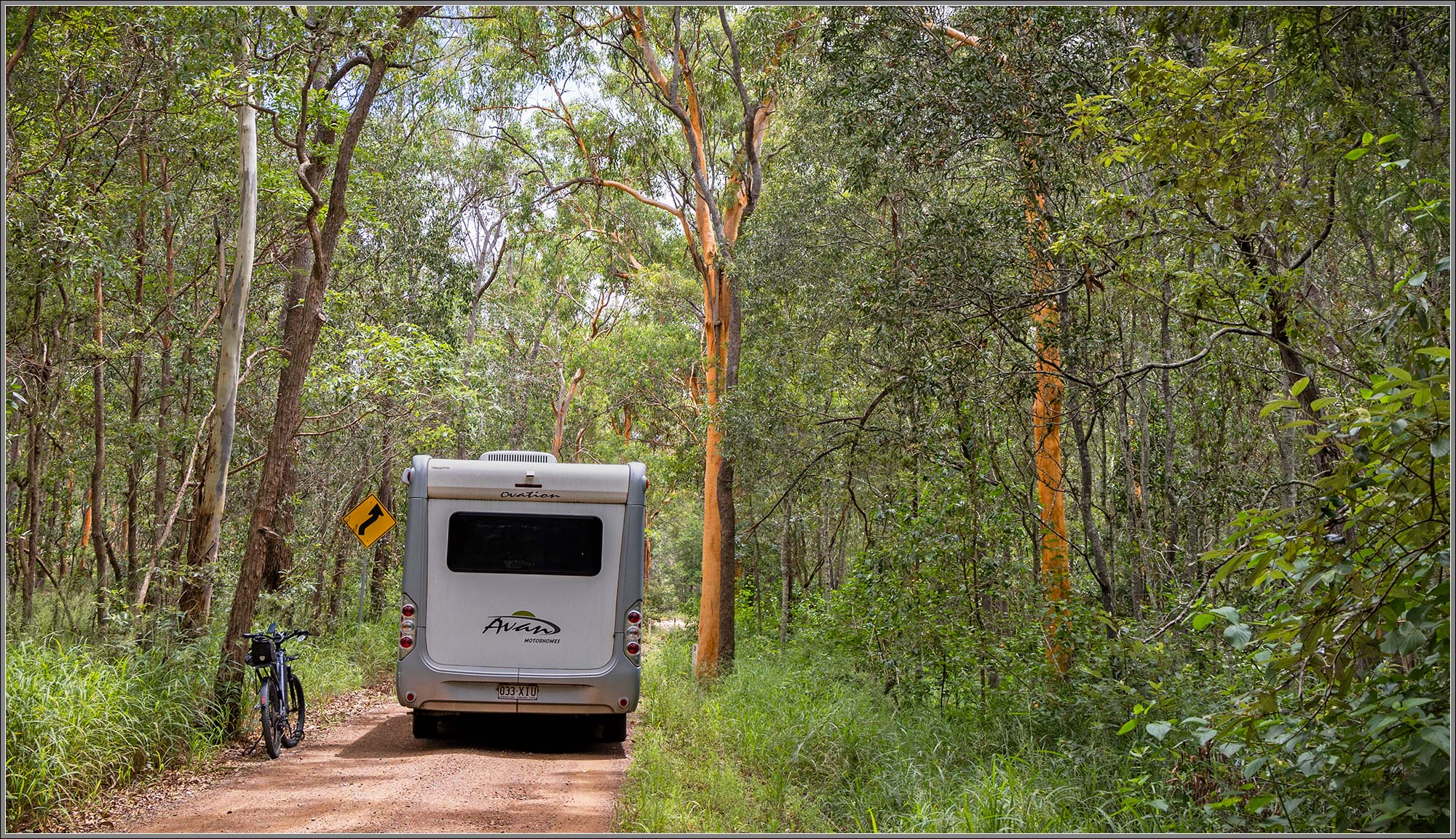 Pine Mountain Bush Reserve : Ipswich, Queensland