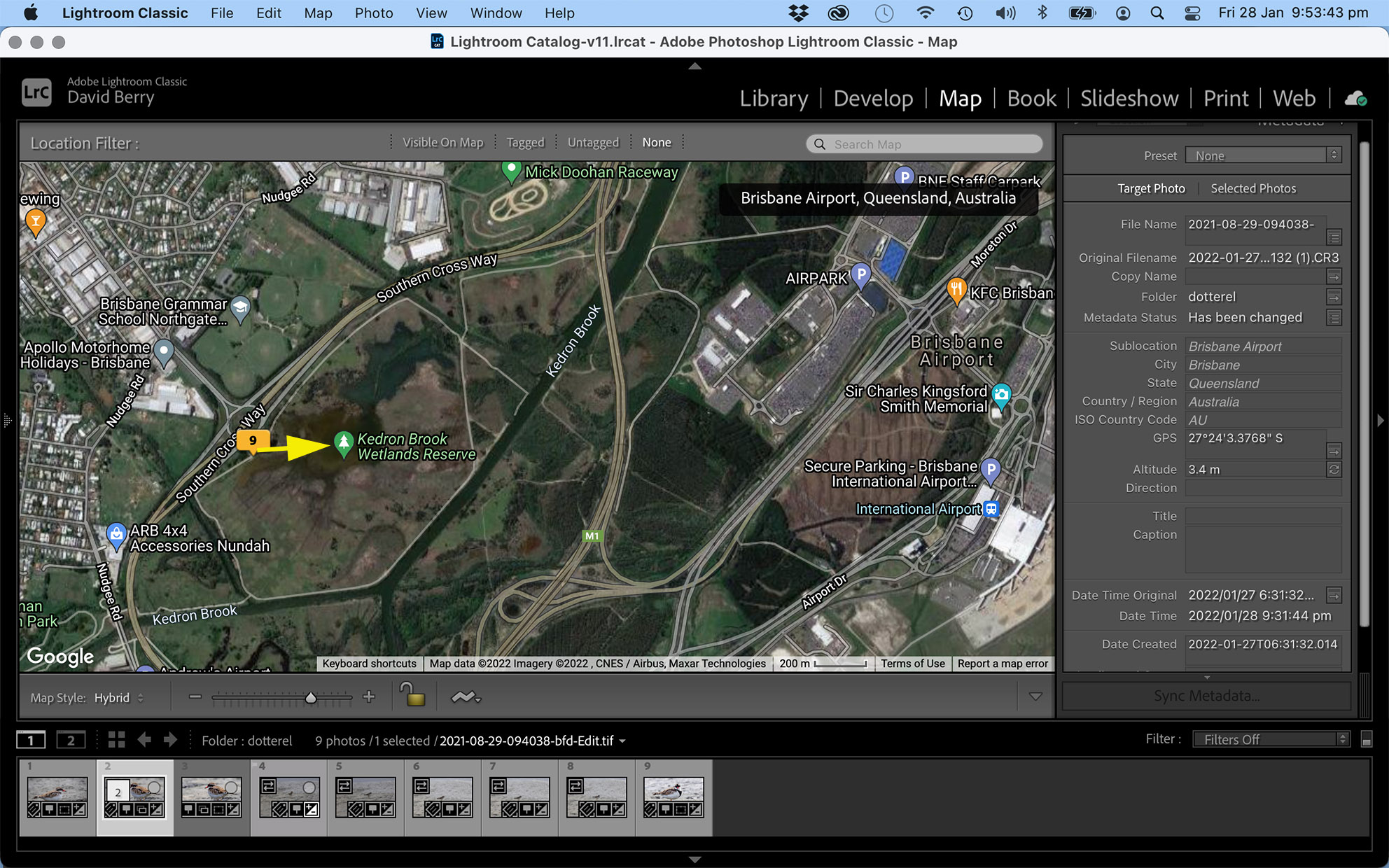Dotterel's Location : Kedron Wetlands, Brisbane