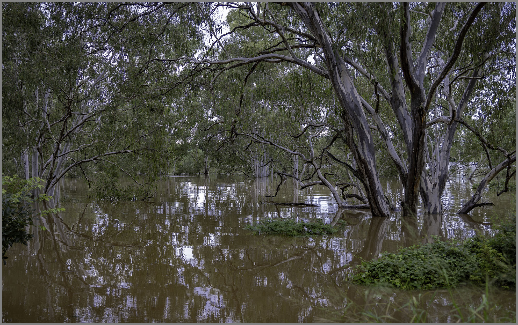 Bremer River, Ipswich