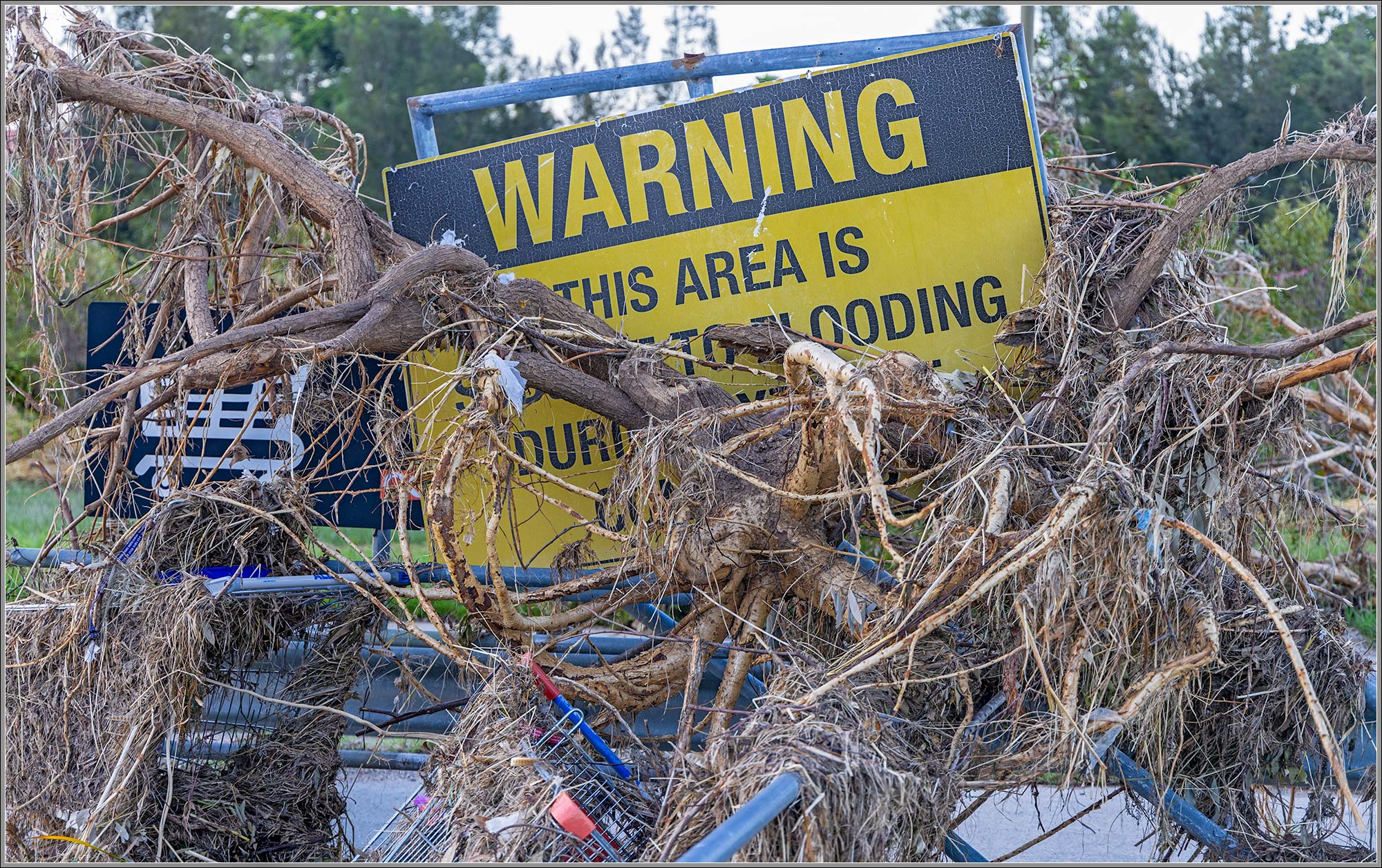 Kedron Brook Bikeway : 2022 Flood