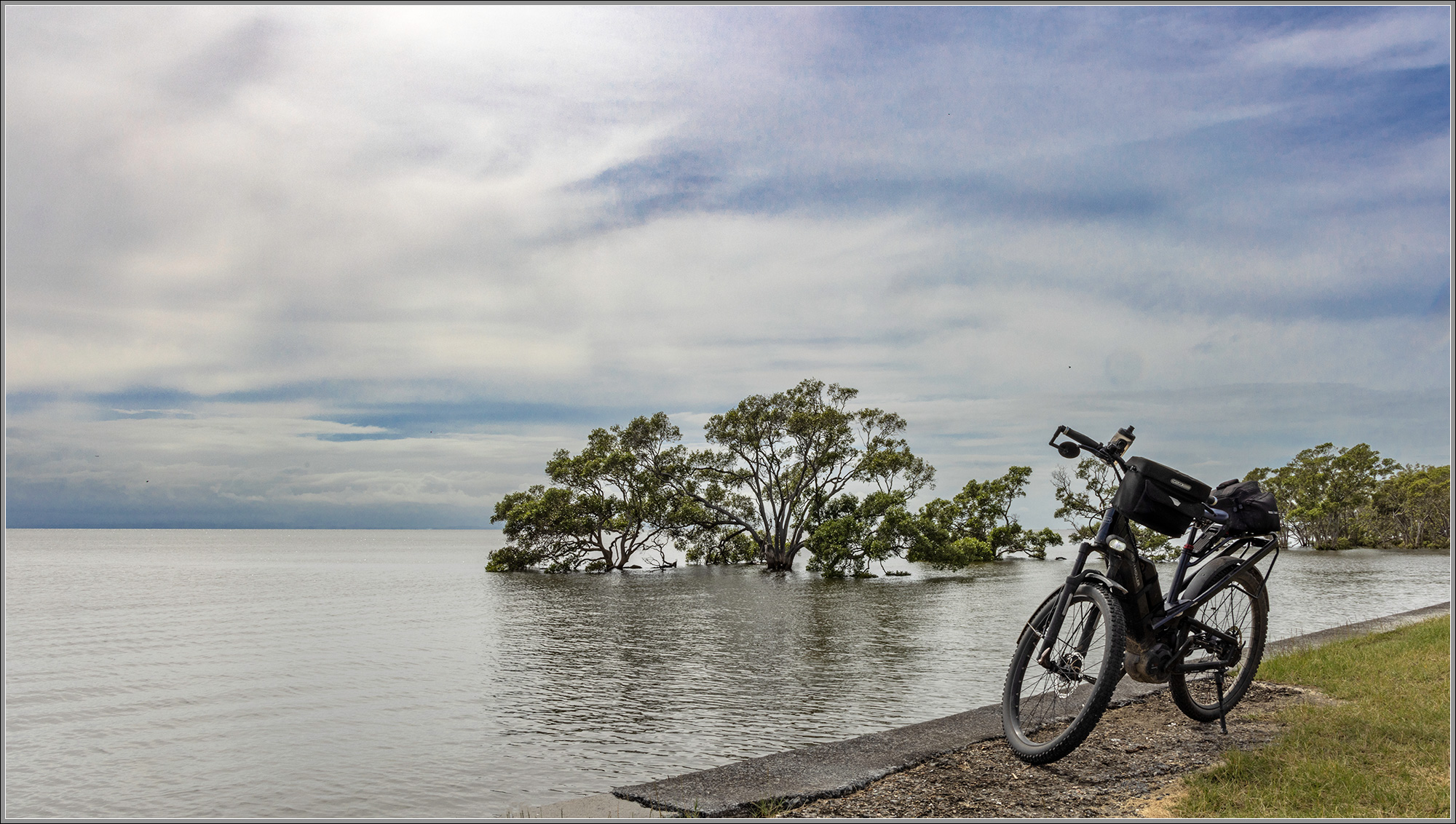 Moreton Bay Mangroves