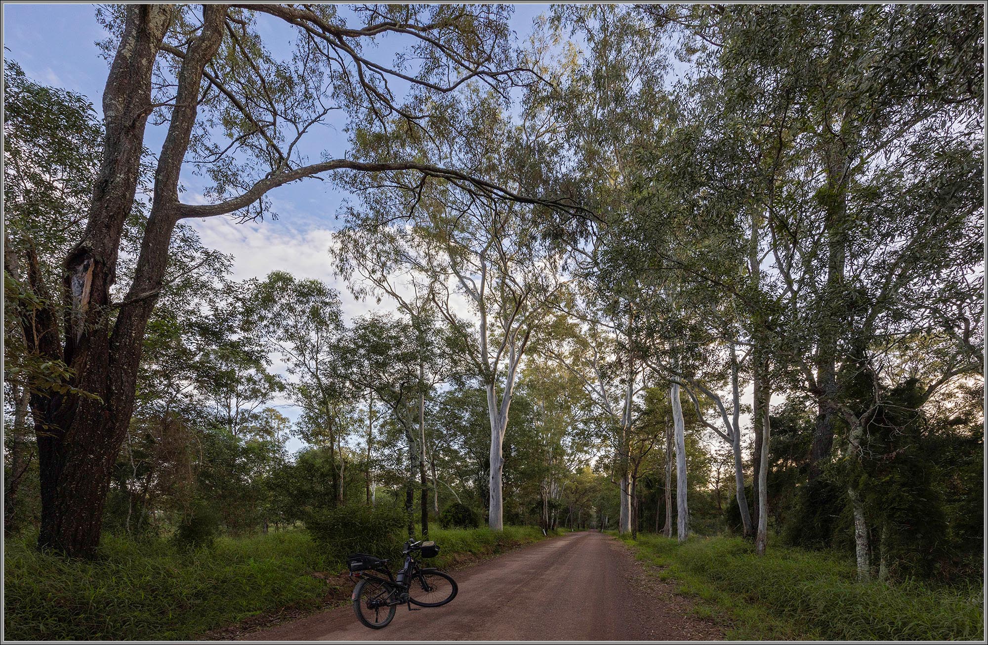 Pine Mountain Bush Reserve : Ipswich, Queensland