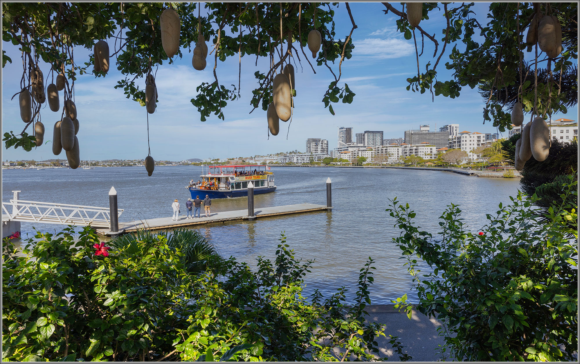 Waiting for the Ferry : Brisbane River, Newstead