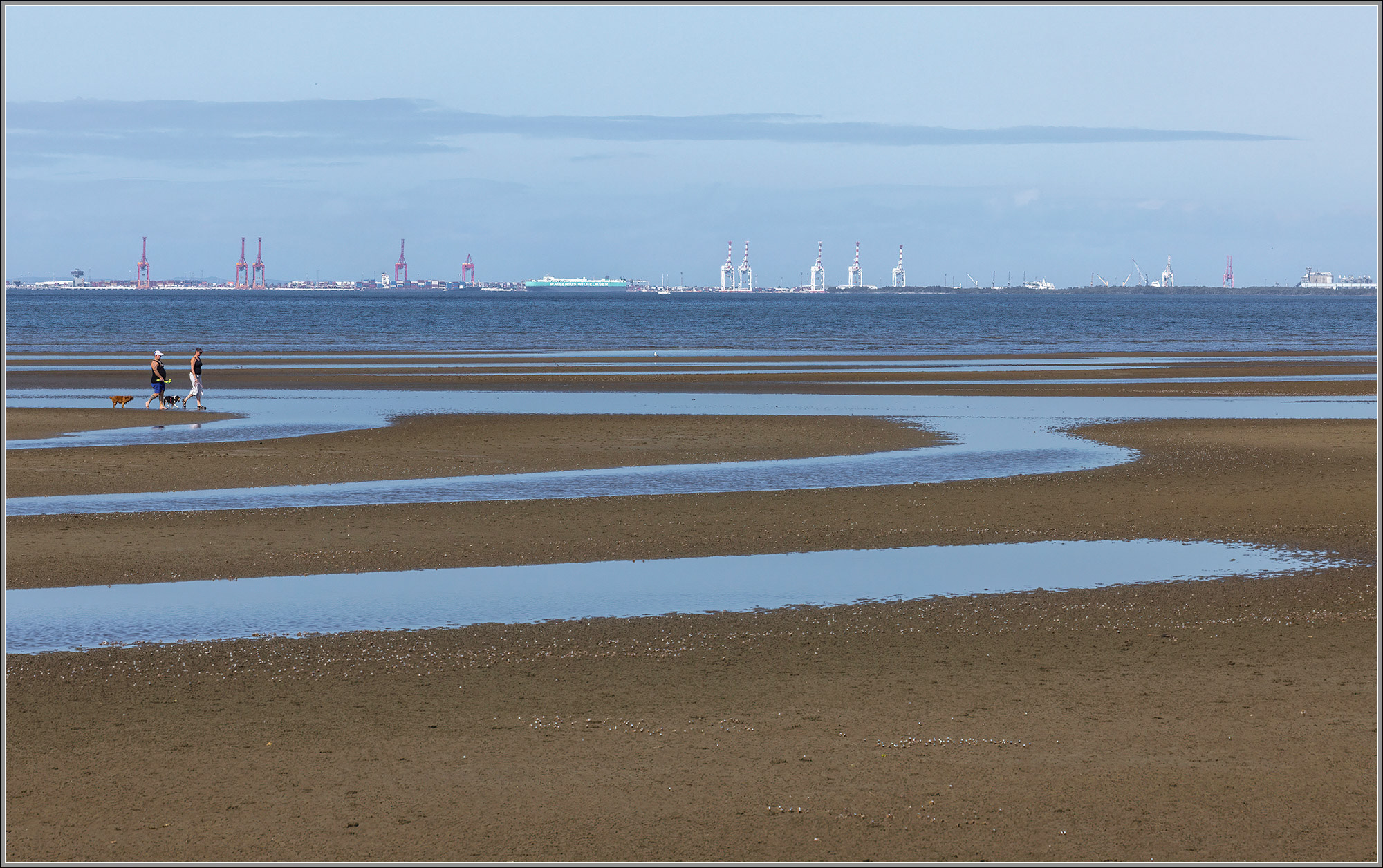 Walking the Dogs at Low Tide : Brighton Beach, Moreton Bay