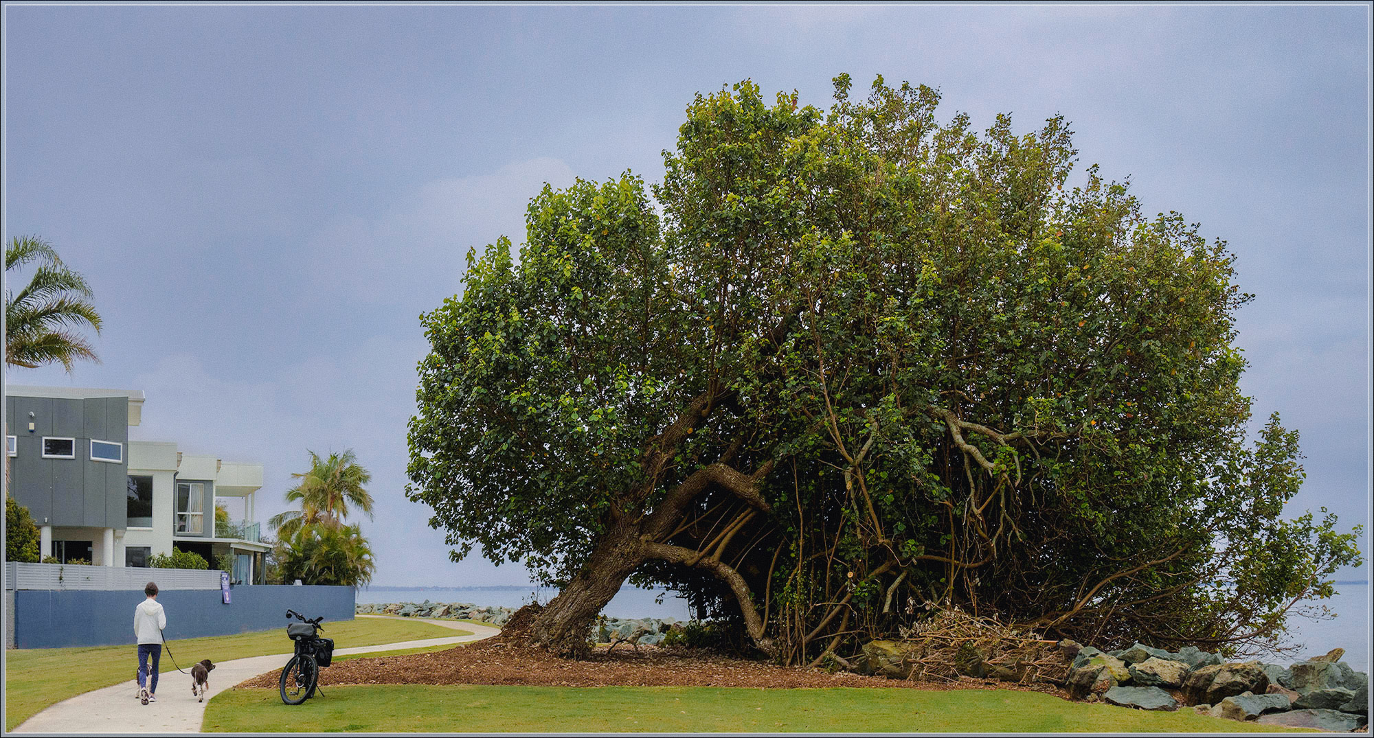 Tingira Park, Scarborough, Redcliffe Peninsula