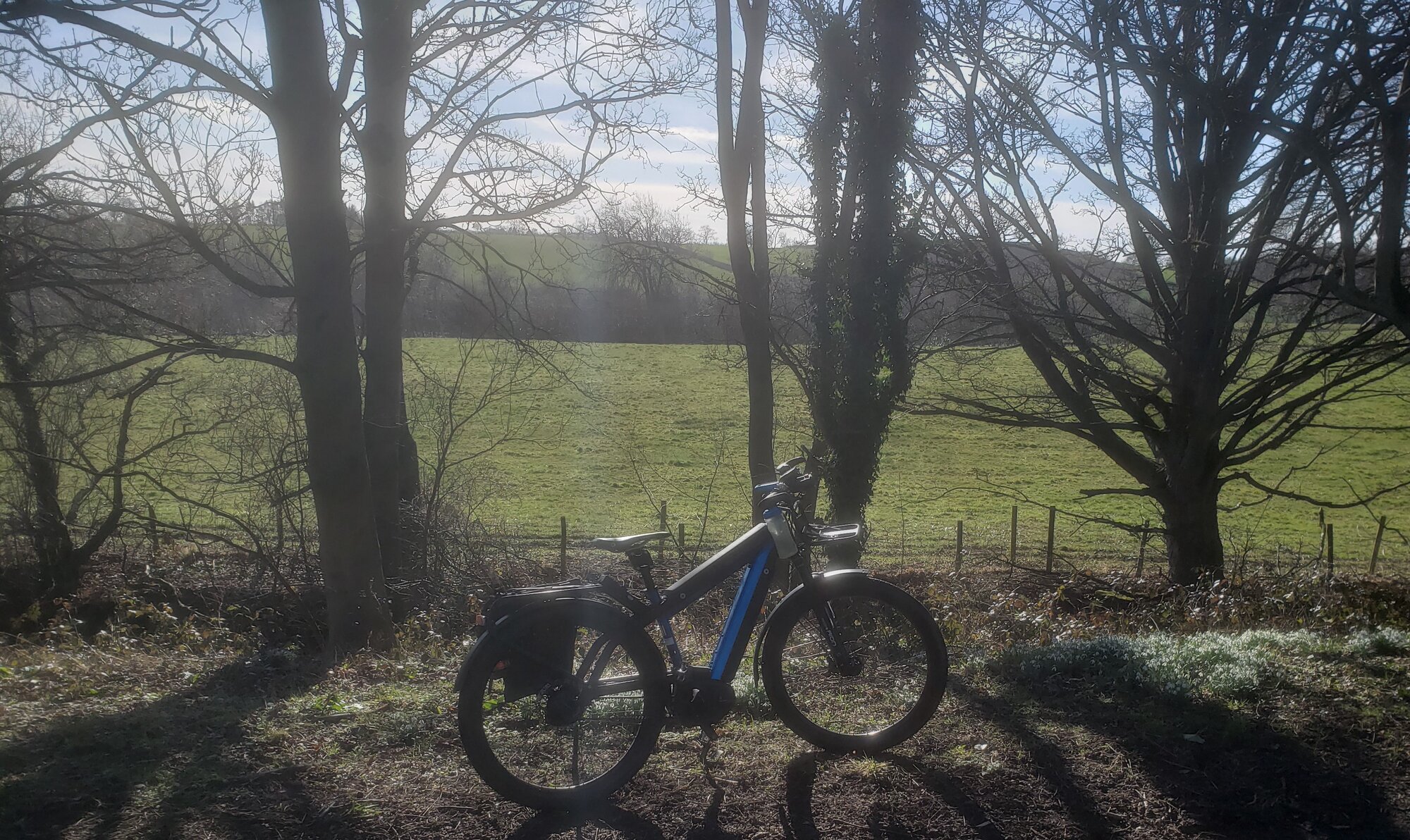 20220301_113850 (2).jpg