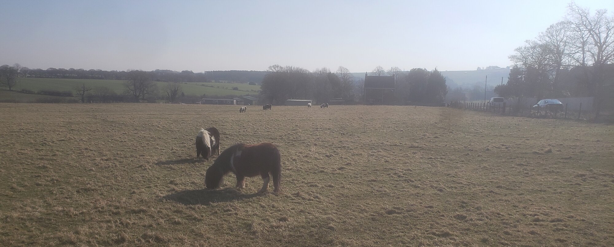 20220308_104703 (2).jpg