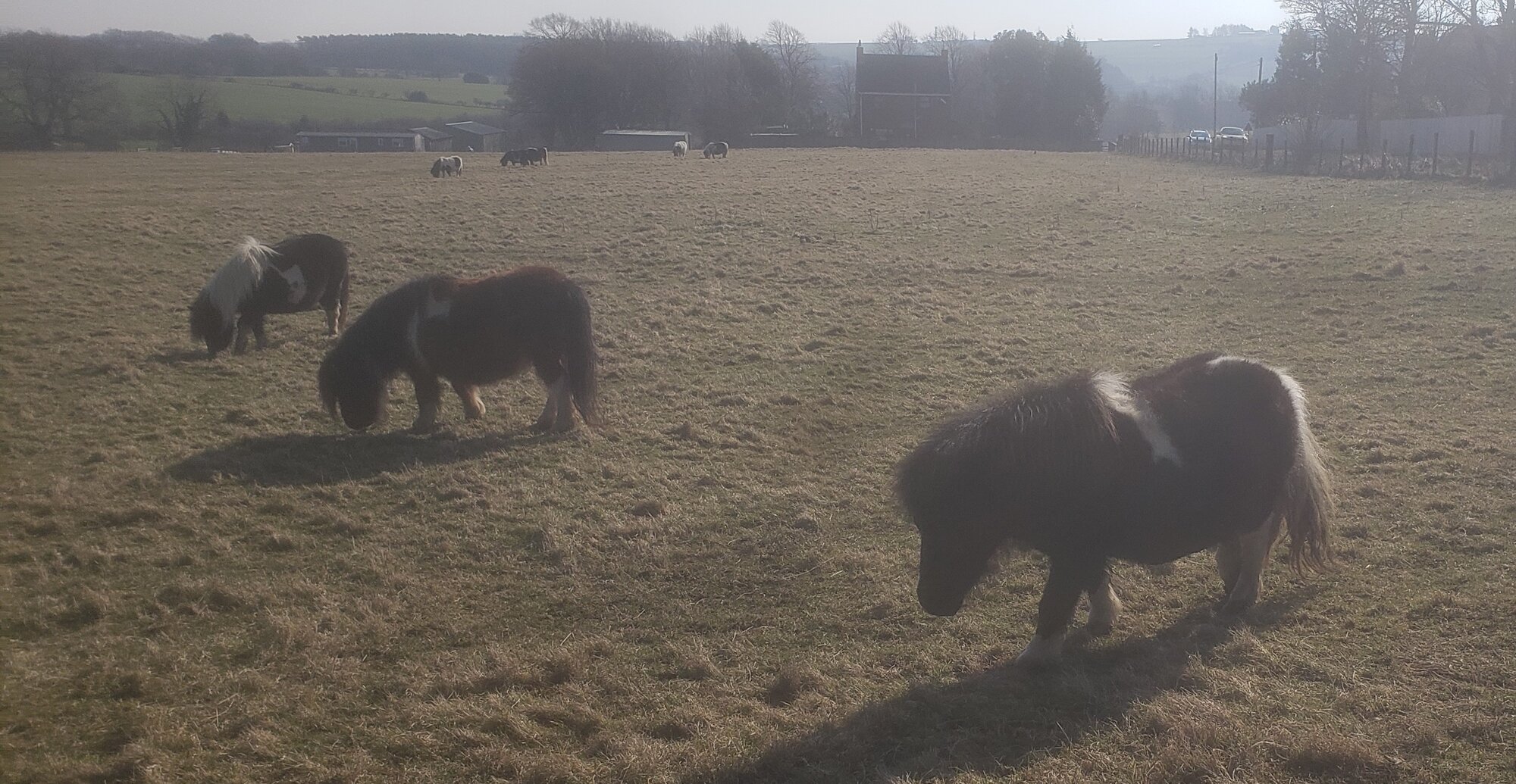 20220308_104713 (2).jpg