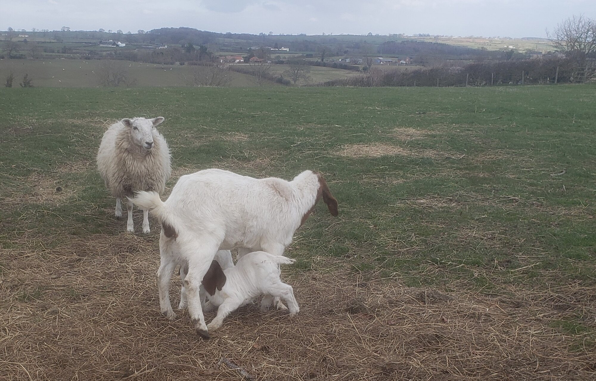 20220310_134723 (2).jpg