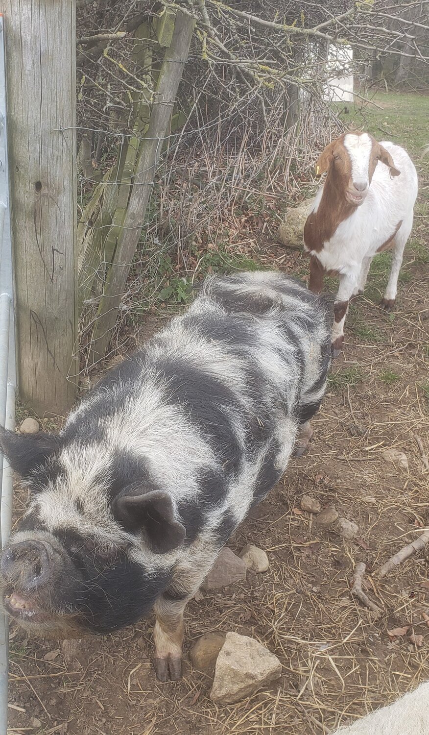 20220310_134734 (2).jpg