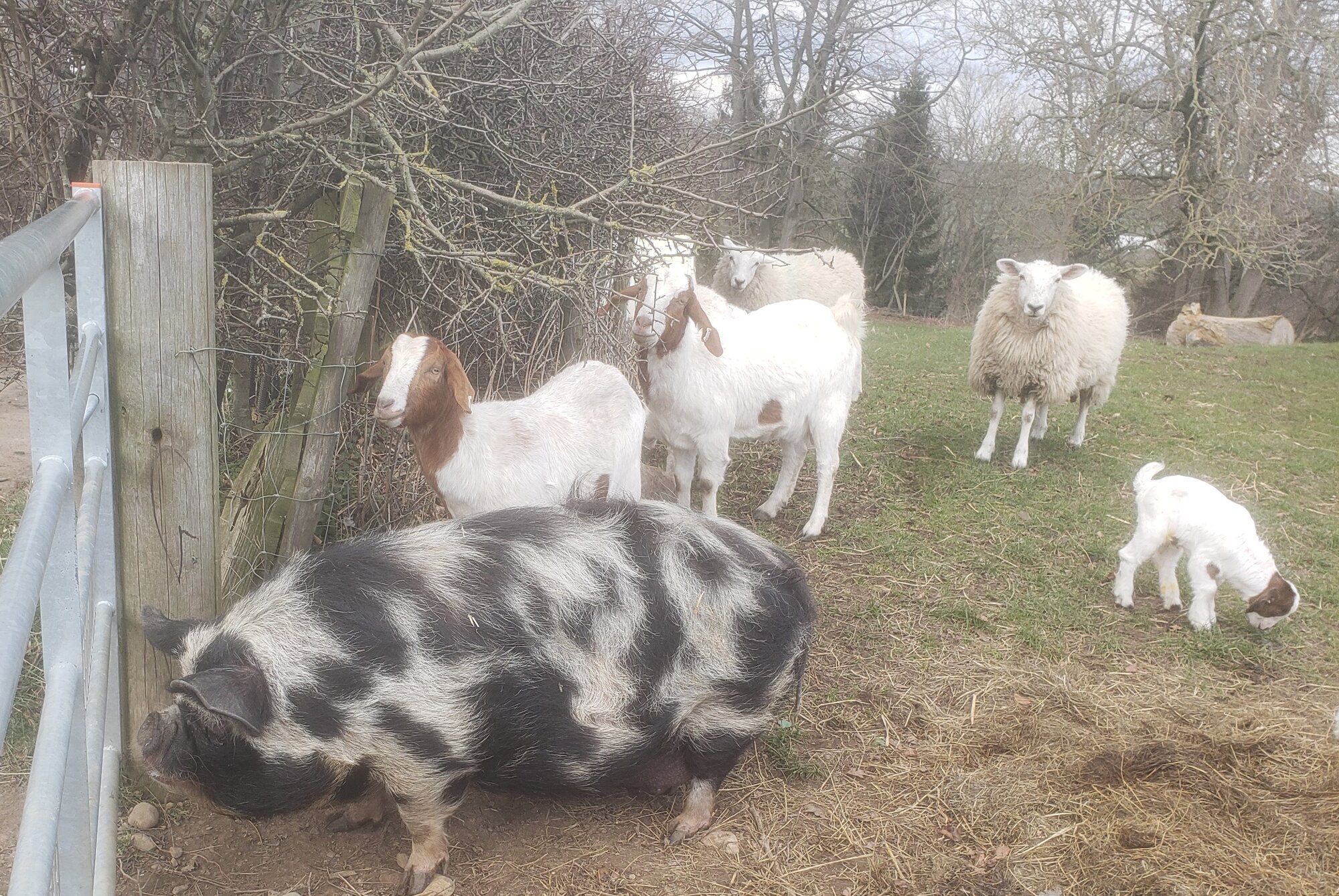 20220310_134942 (2).jpg