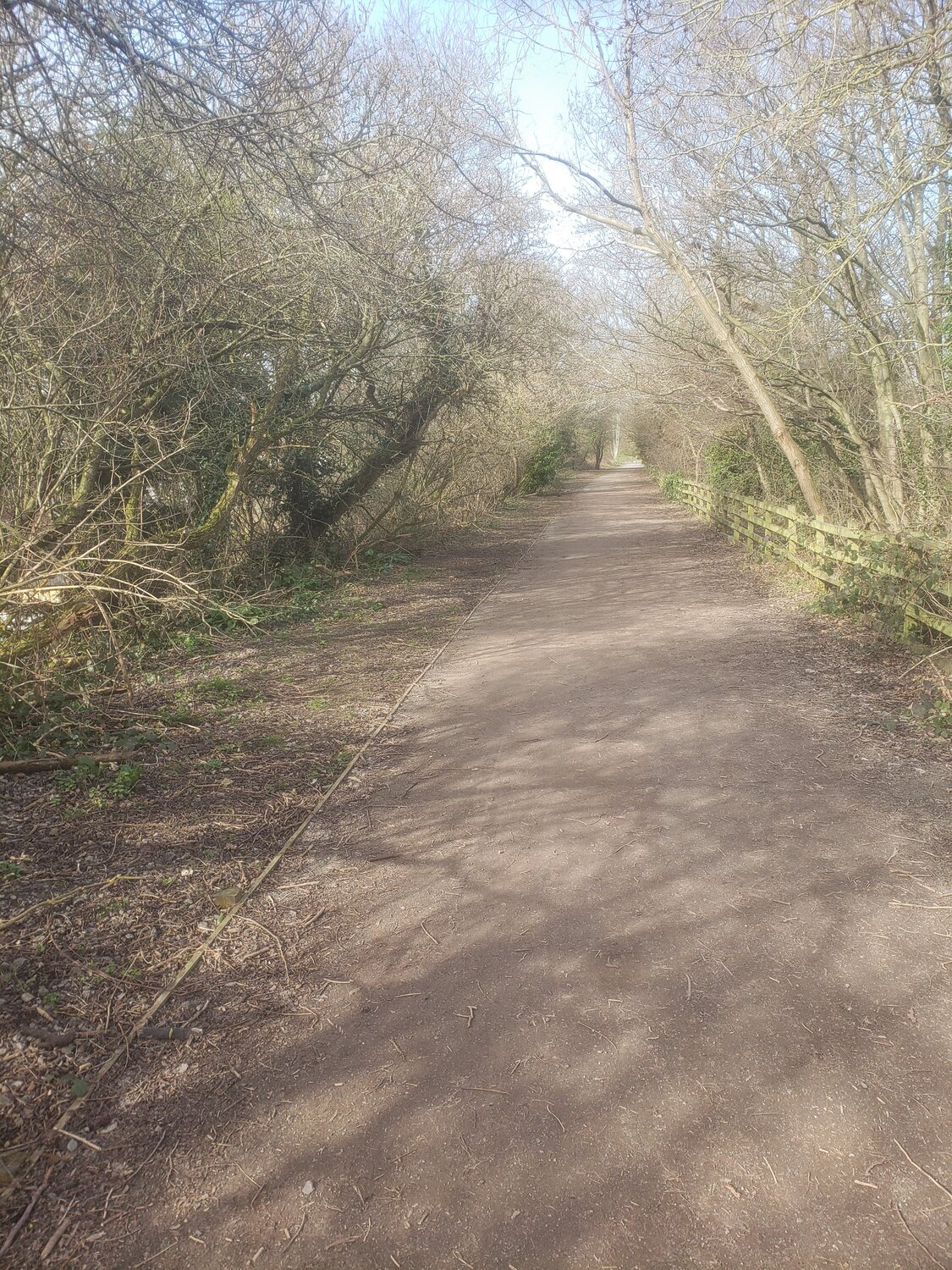 20220315_100253 (2).jpg