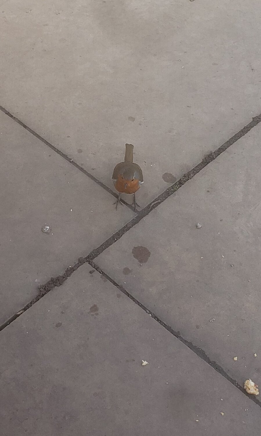 20220315_110419 (3).jpg