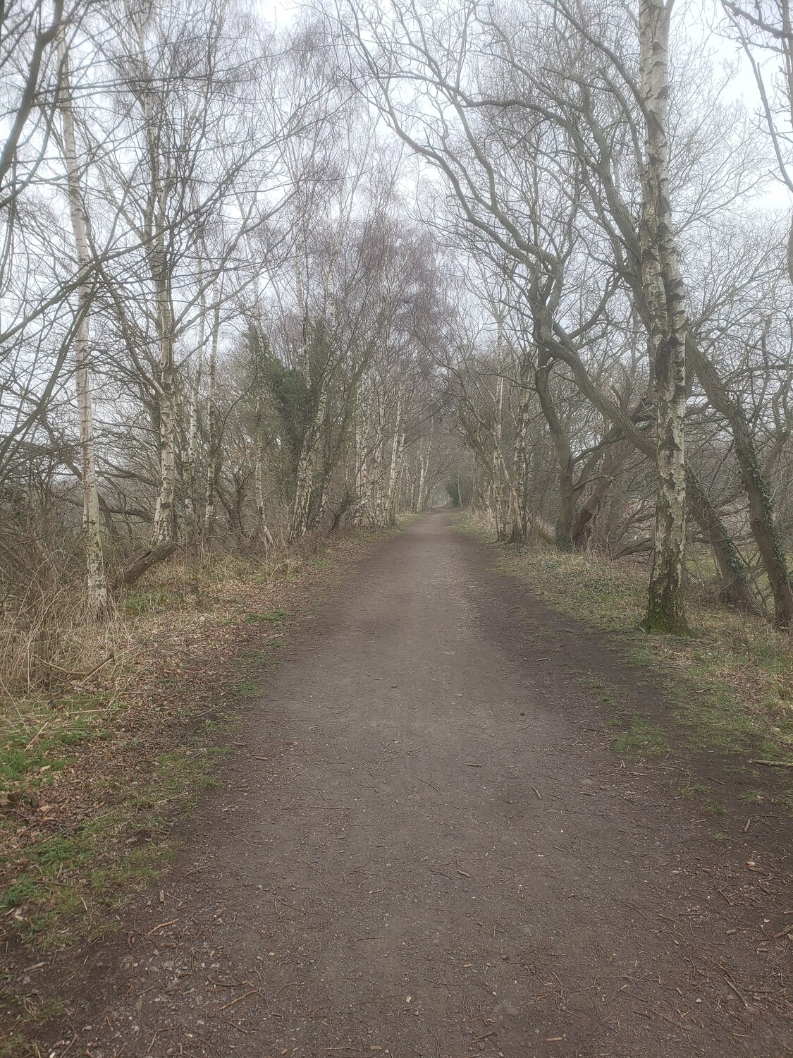 20220316_120319 (2).jpg