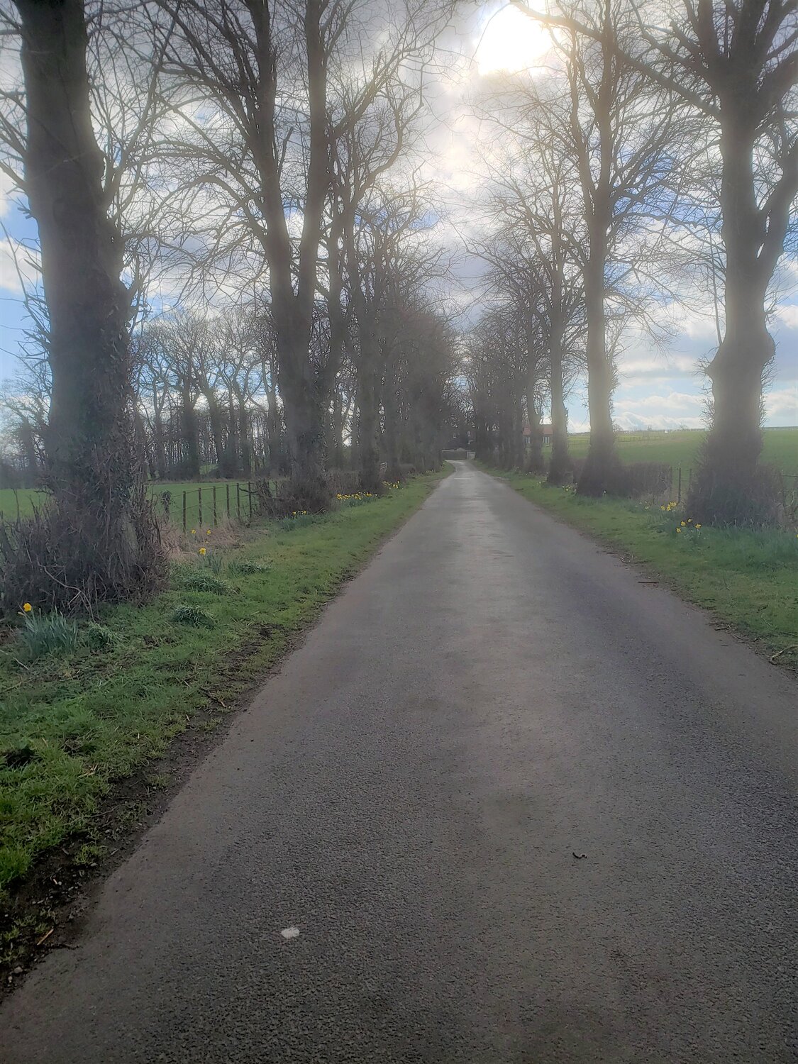 20220317_100131 (2).jpg