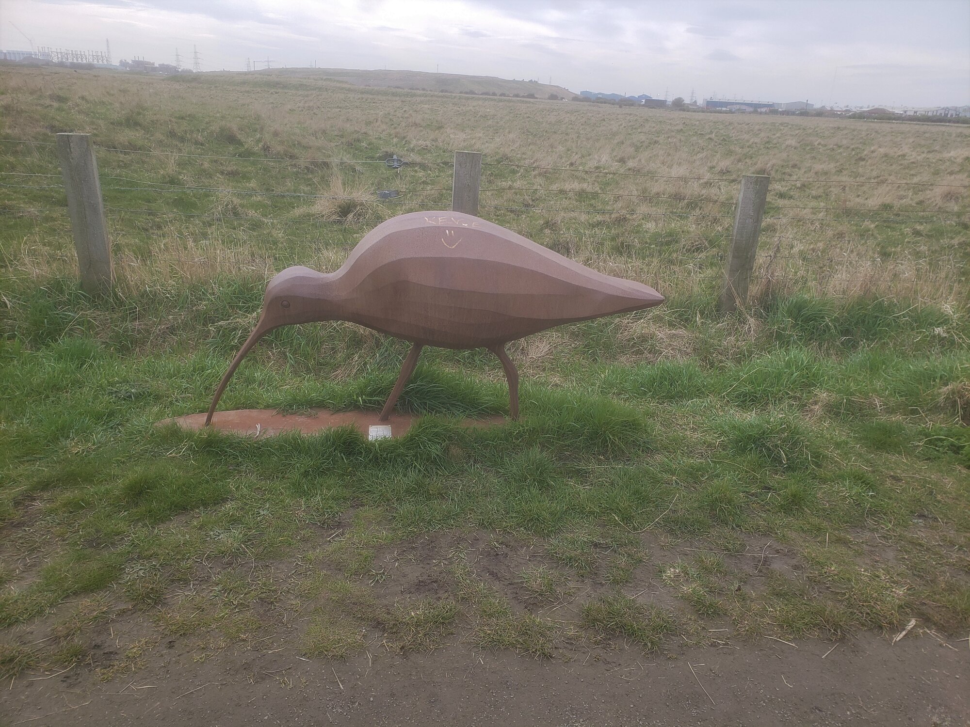 20220411_133146 (2).jpg