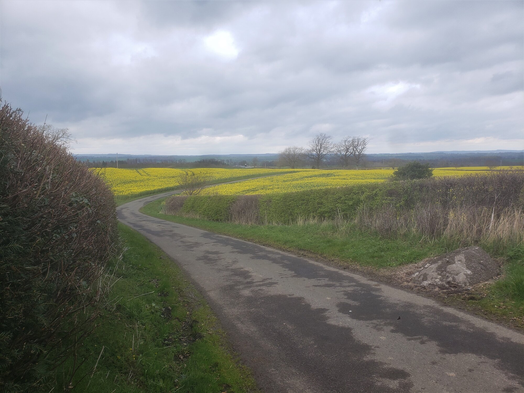 20220413_131113 (2).jpg