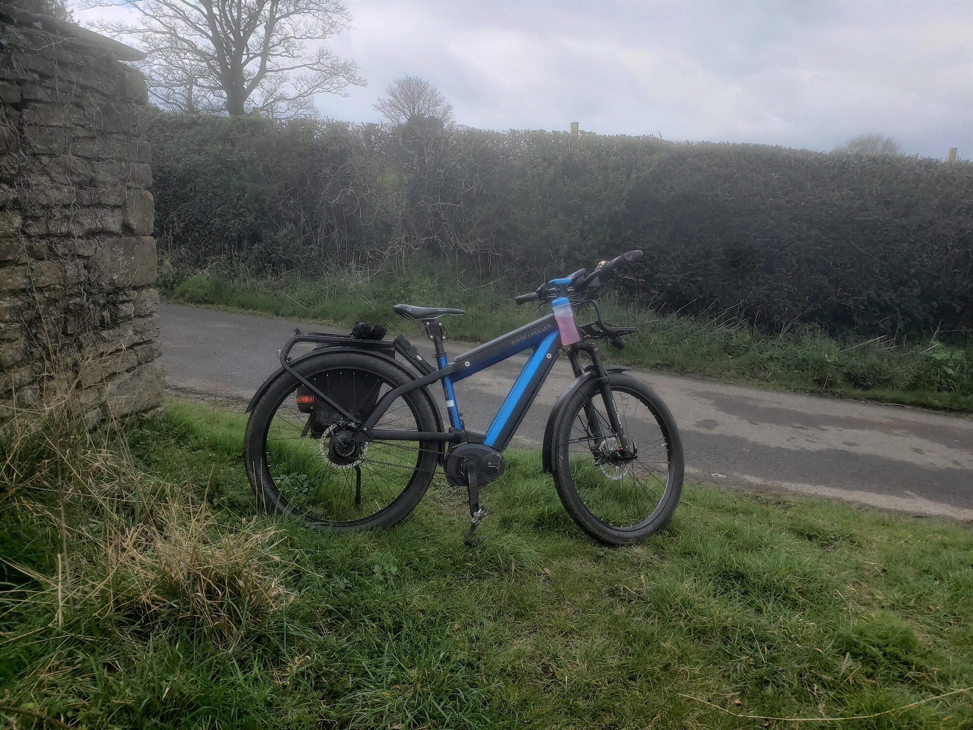 20220413_131205 (2).jpg