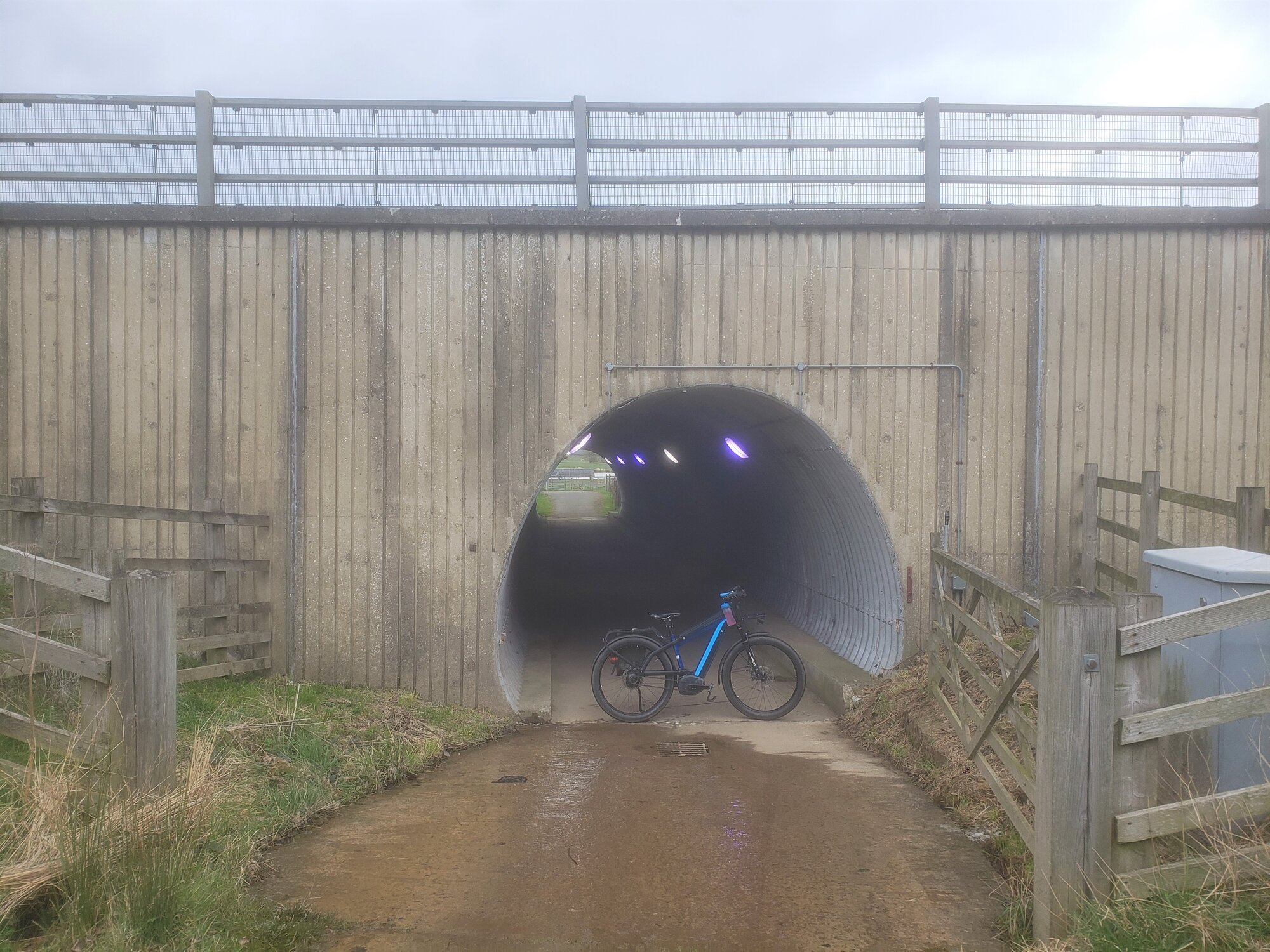 20220413_132121 (2).jpg