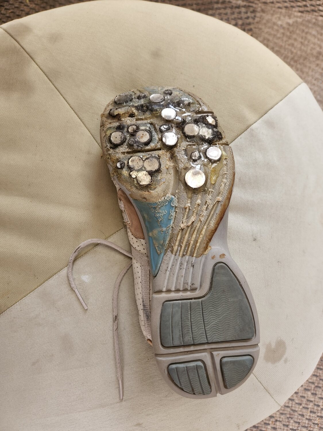 20220605_140019.jpg 20220605_140019.jpg