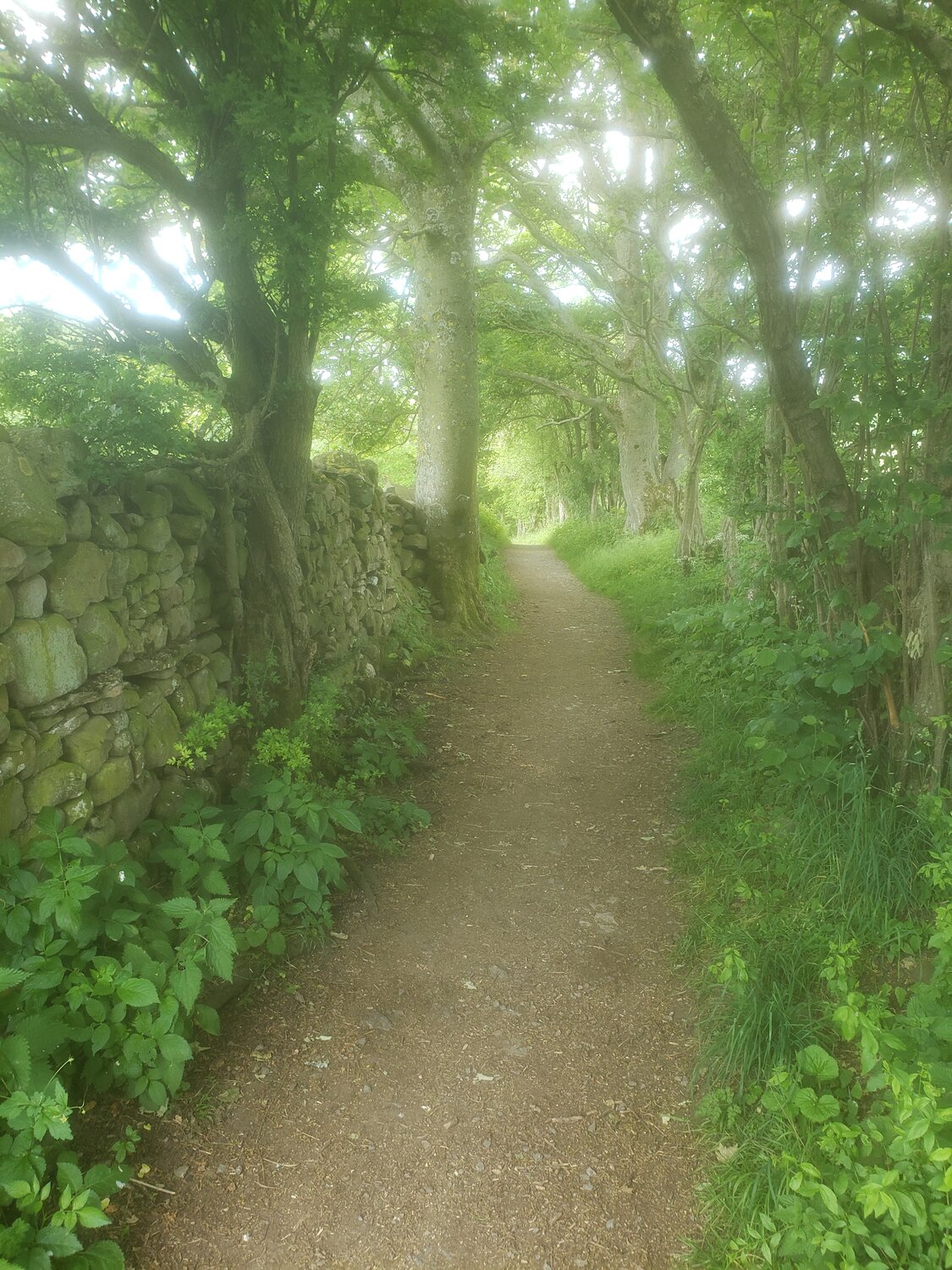20220616_123553.jpg