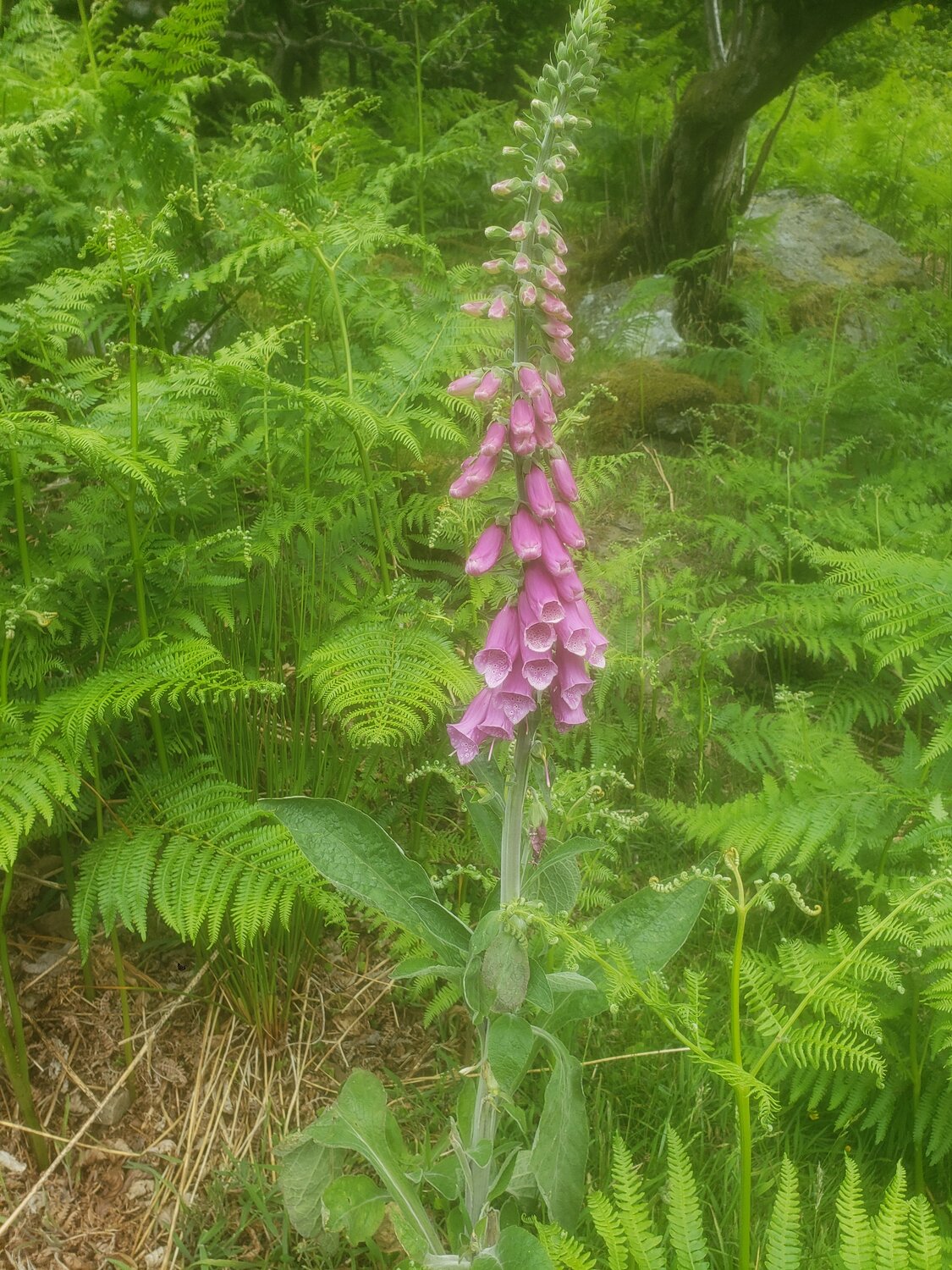 20220616_142259.jpg