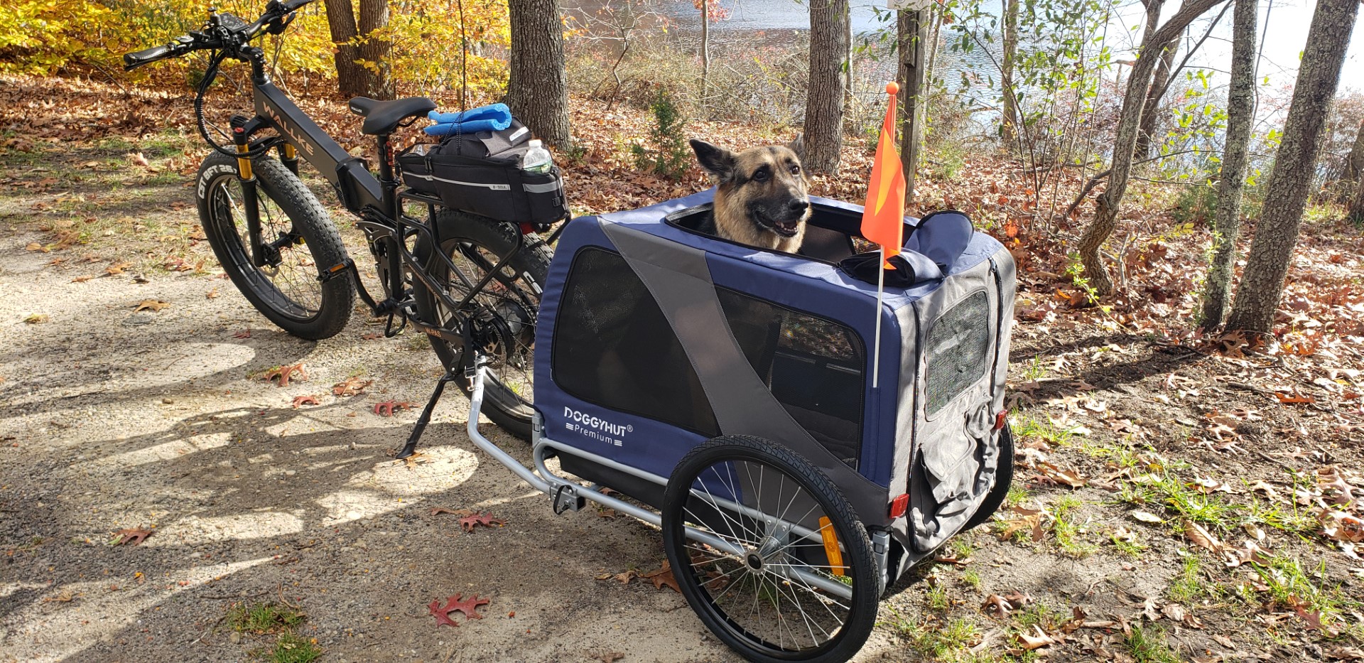 20221120_121413 (Large).jpg