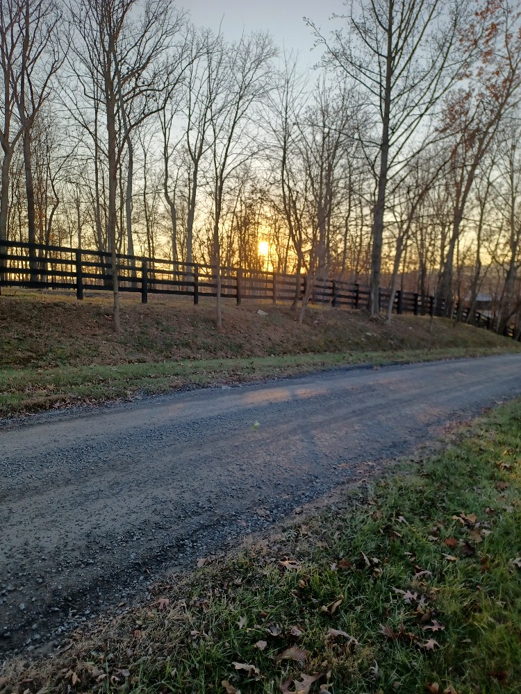 20221123_162251_copy_750x1000.jpg