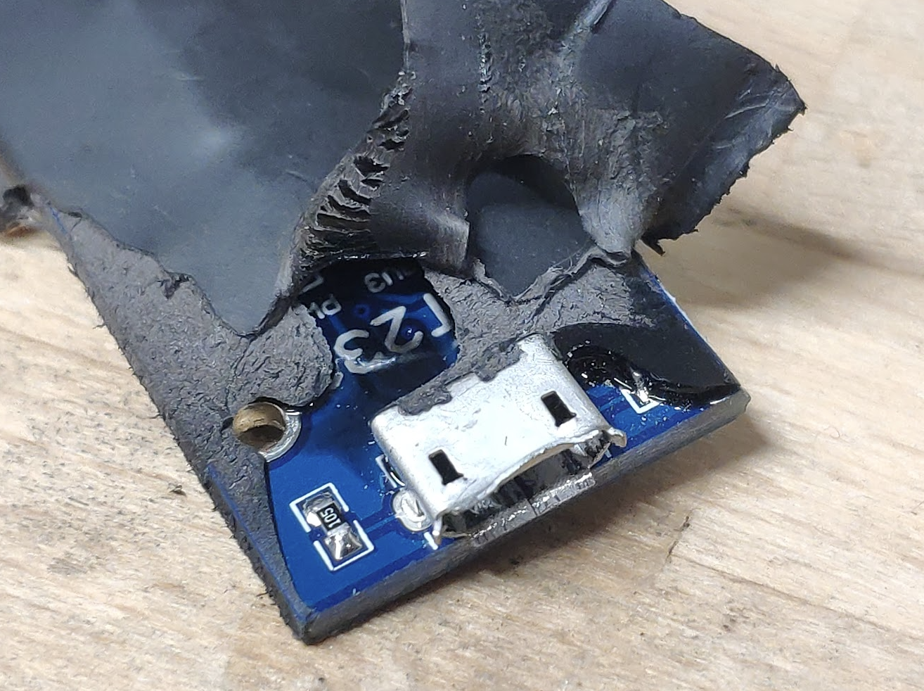 2023-08-11 13_38_15-Photo - Google Photos.png