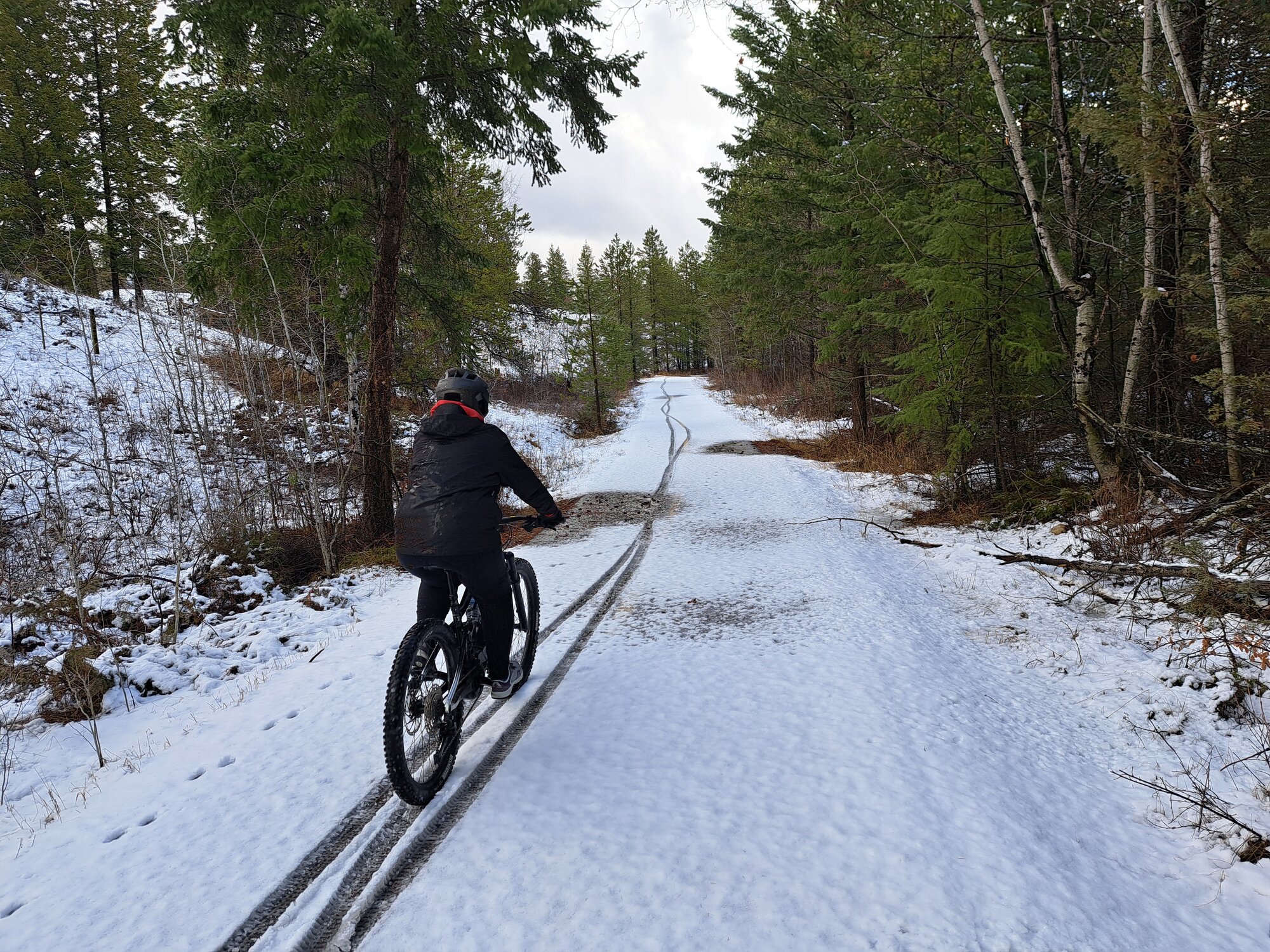 20230411_113257 (1).jpg