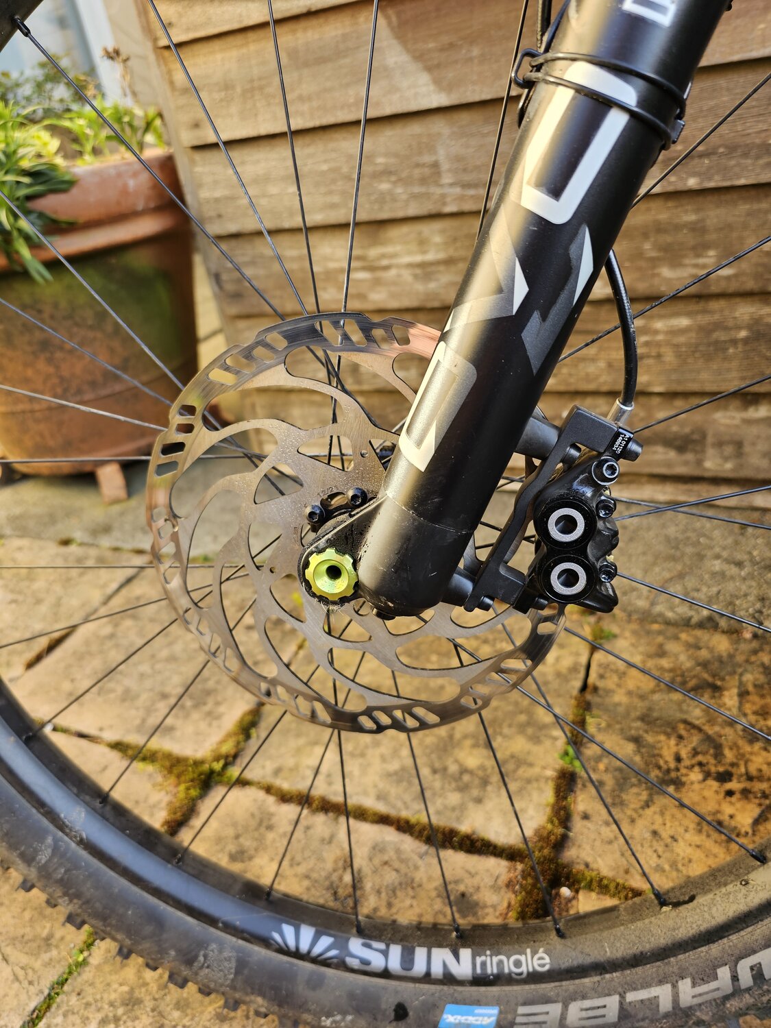 20230427_184631.jpg 20230427_184631.jpg