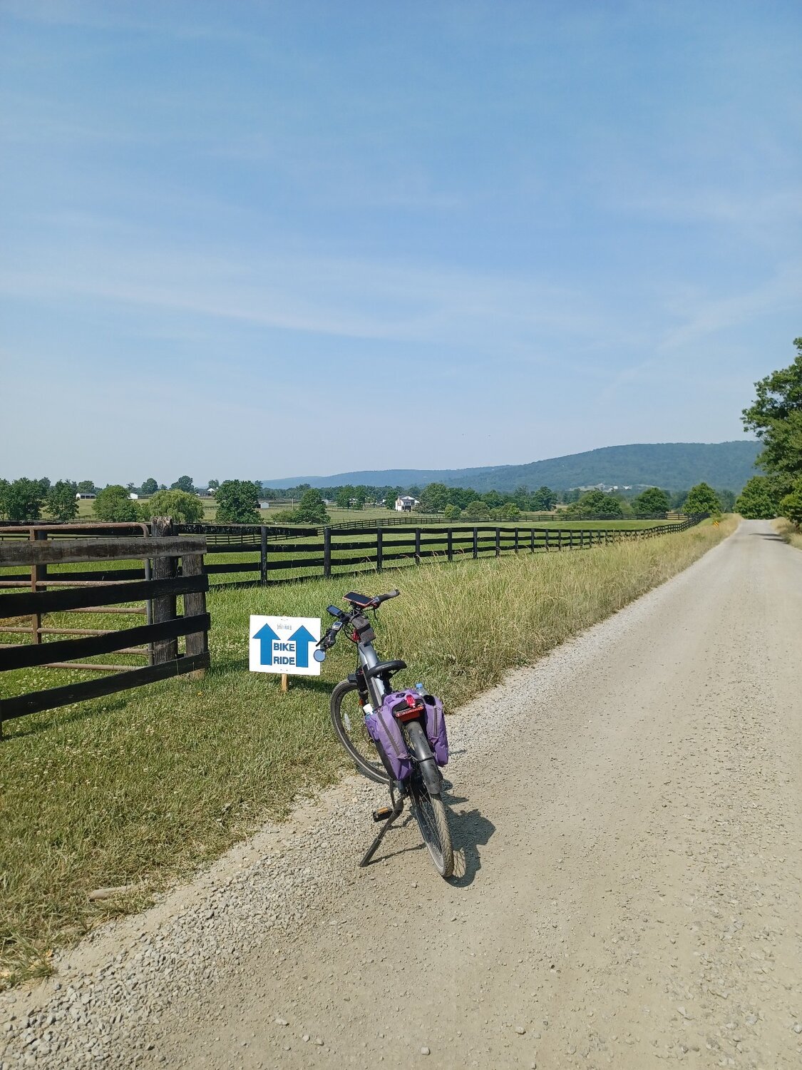 20230611_101357_copy_1200x1600.jpg 20230611_101357_copy_1200x1600.jpg