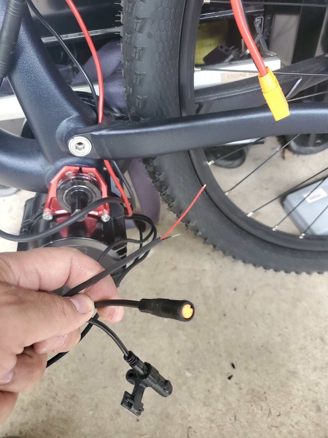 20230617_091351.jpg 20230617_091351.jpg