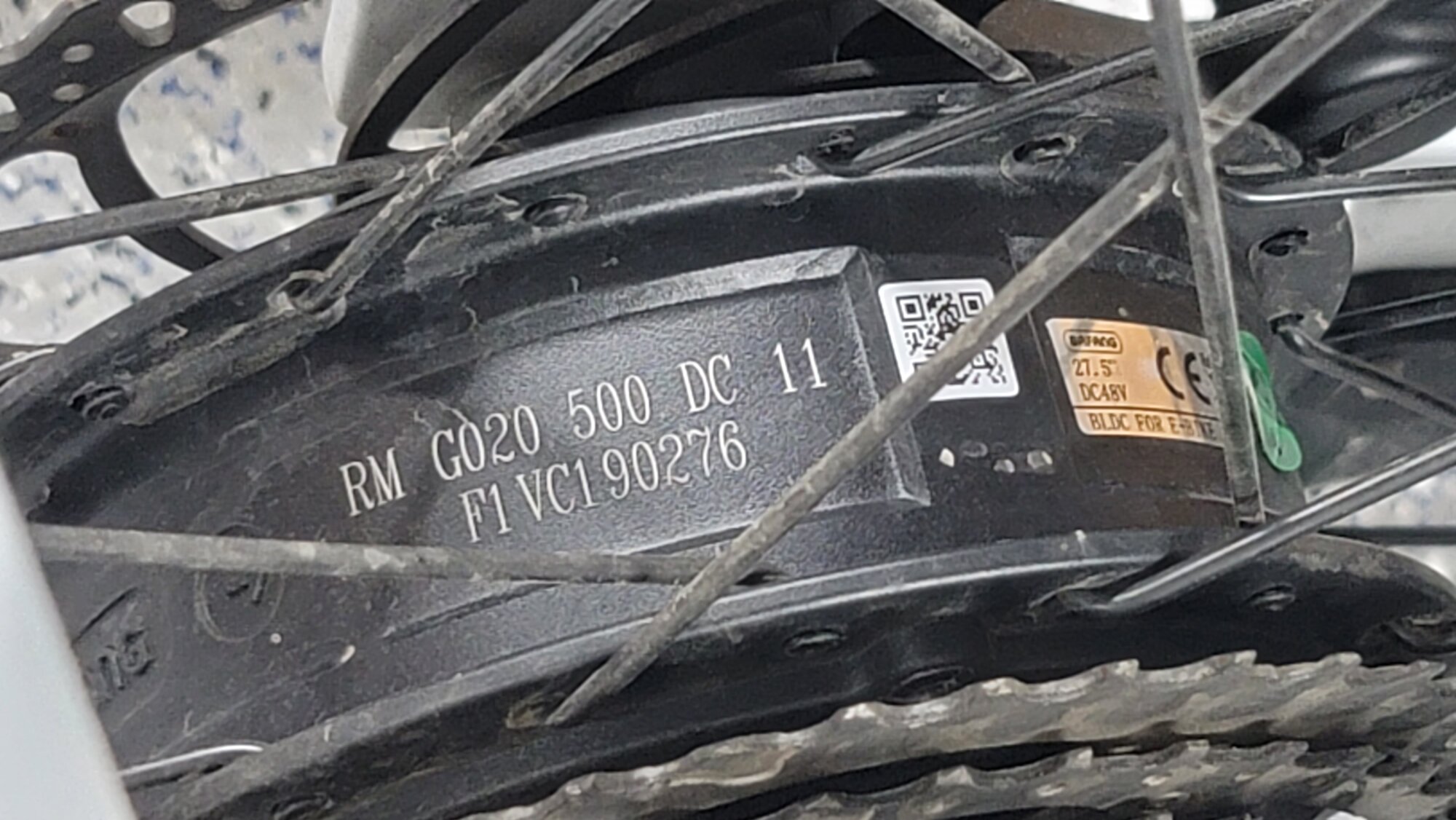 20230825_113058.jpg