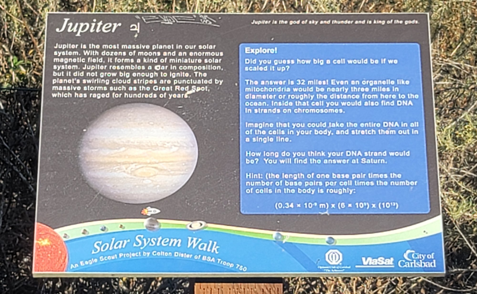 20230907_172100.jpg