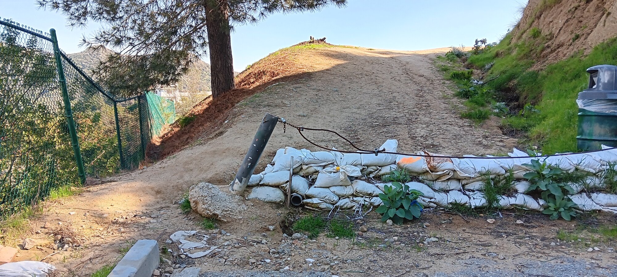 20240213_133256.jpg 20240213_133256.jpg